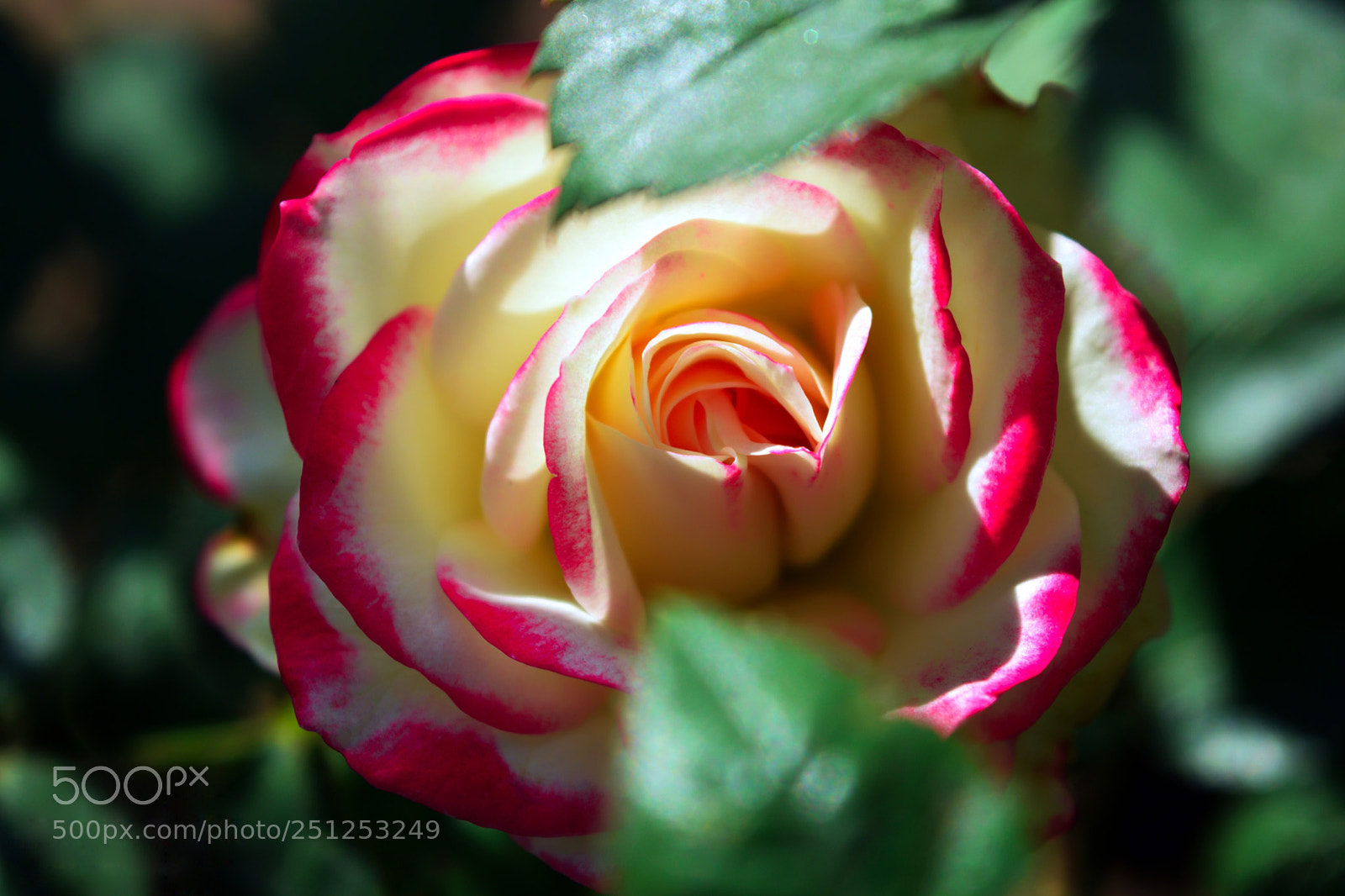 Nikon D3300 sample photo. Sweet heart photography