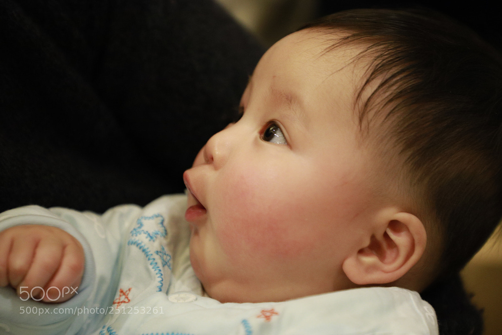 Canon EF 24-105mm F4L IS II USM sample photo. Untitled photography