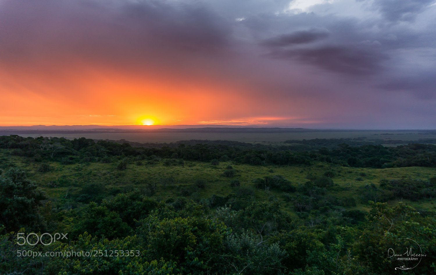 Sony a6000 sample photo. Cape vidal sunset i photography