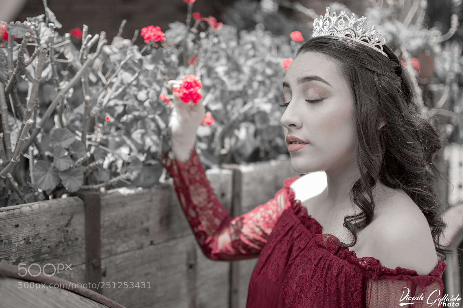 Nikon D7100 sample photo. Xv a os yocel photography