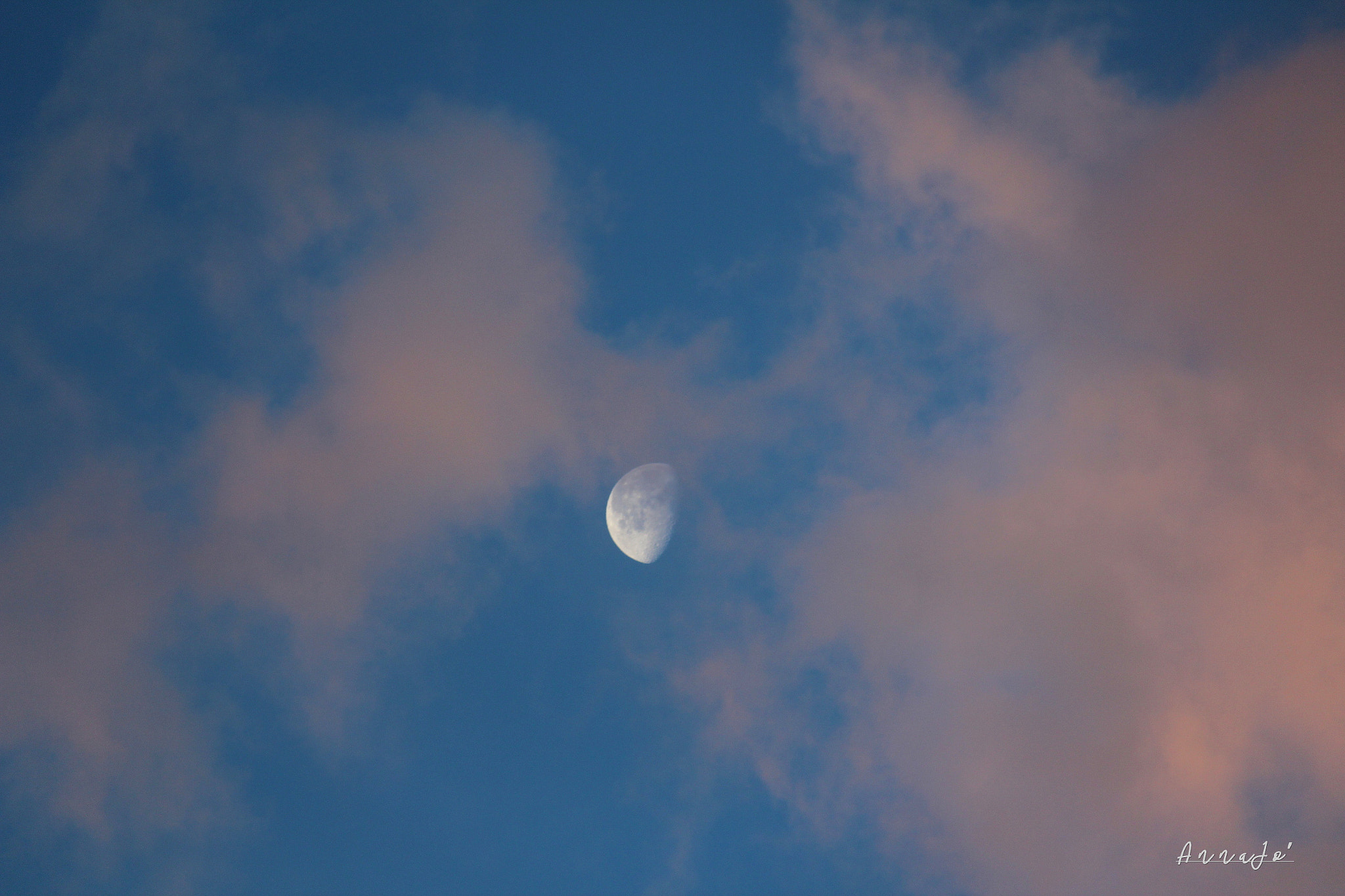 Canon EOS 600D (Rebel EOS T3i / EOS Kiss X5) sample photo. Pink lady photography