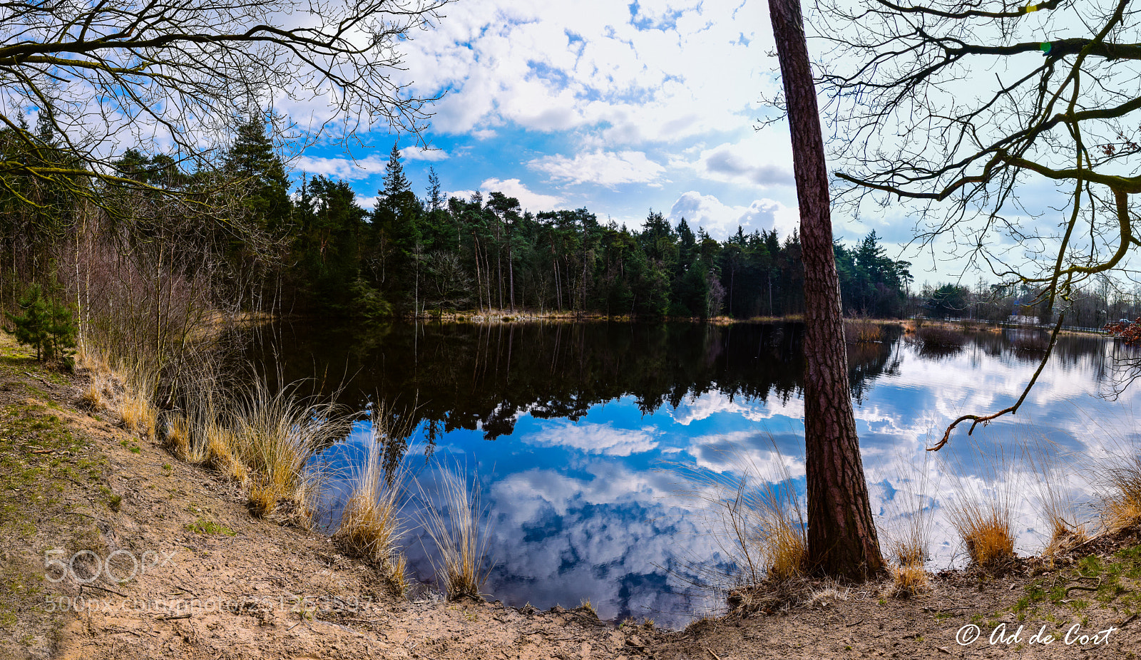 Nikon D5300 sample photo. The netherlands, venrode photography