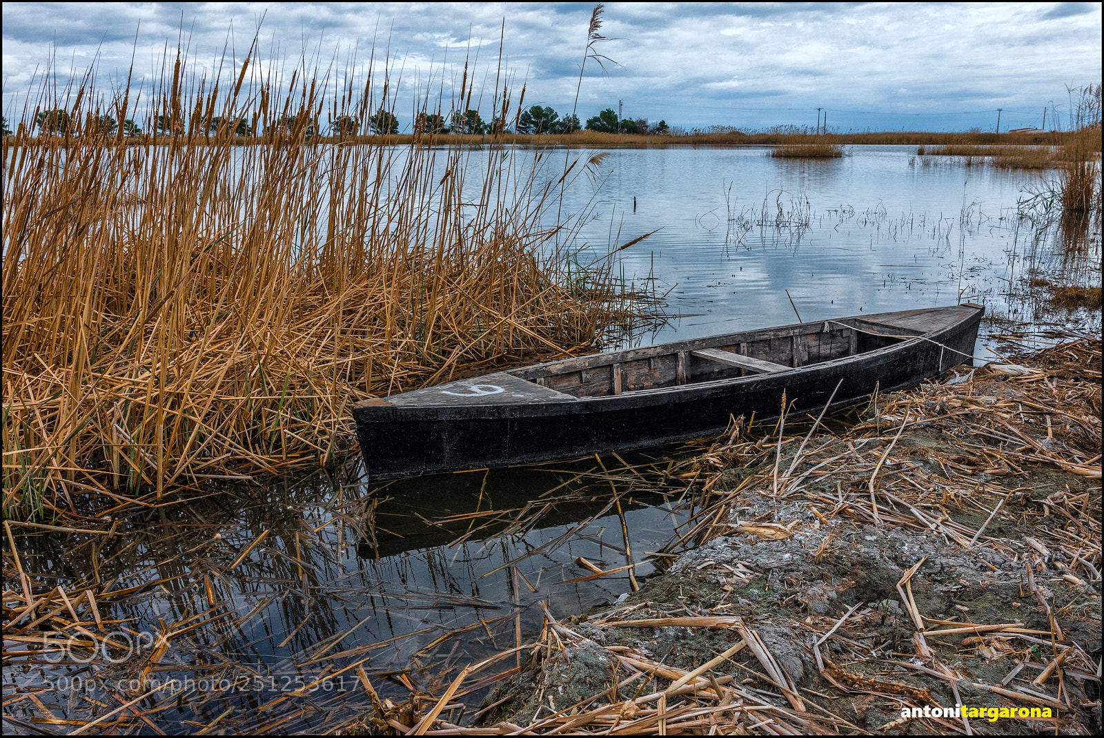 Nikon D7200 sample photo. Delta de l'ebre photography
