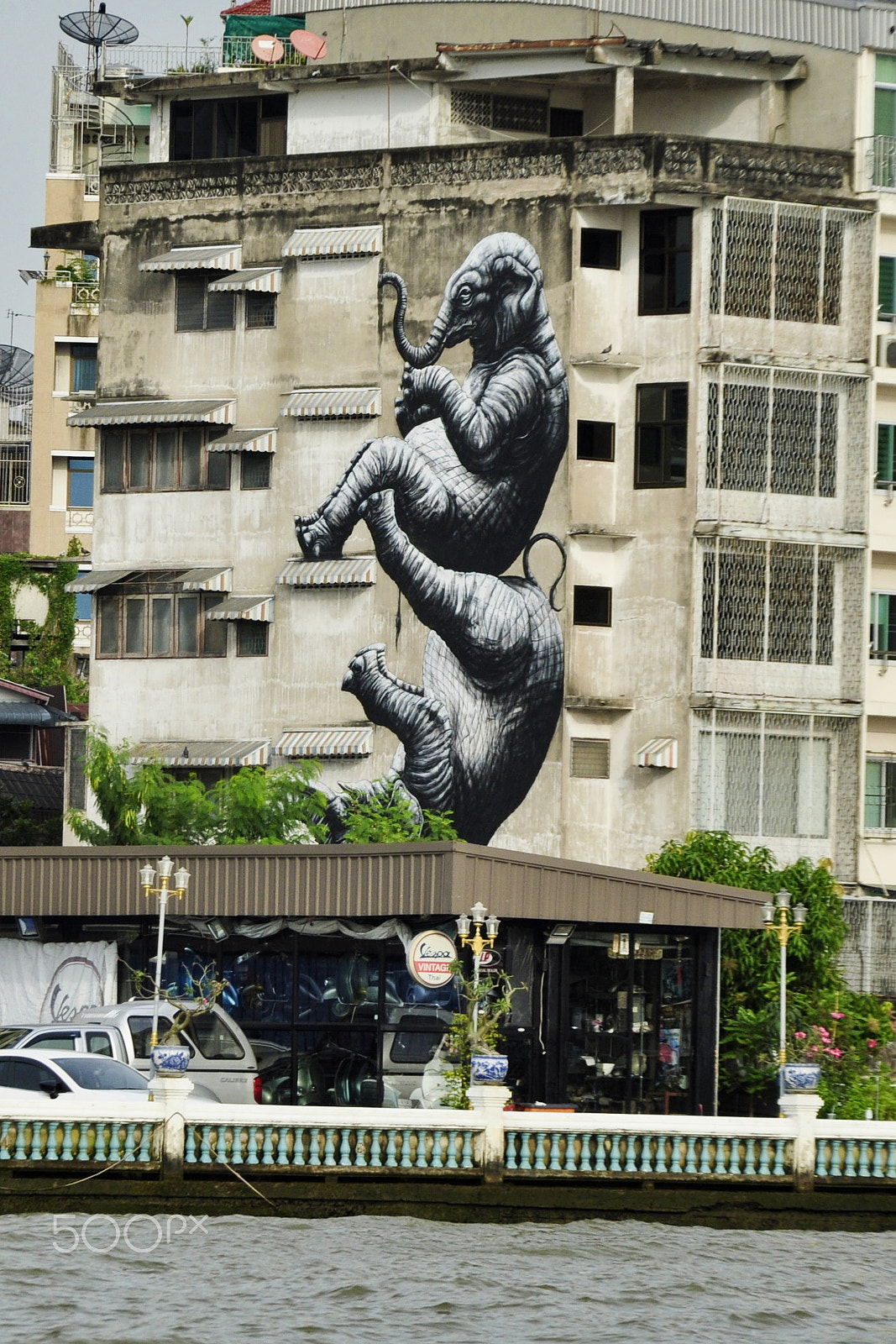 Nikon D5000 sample photo. Bangkok elephant photography