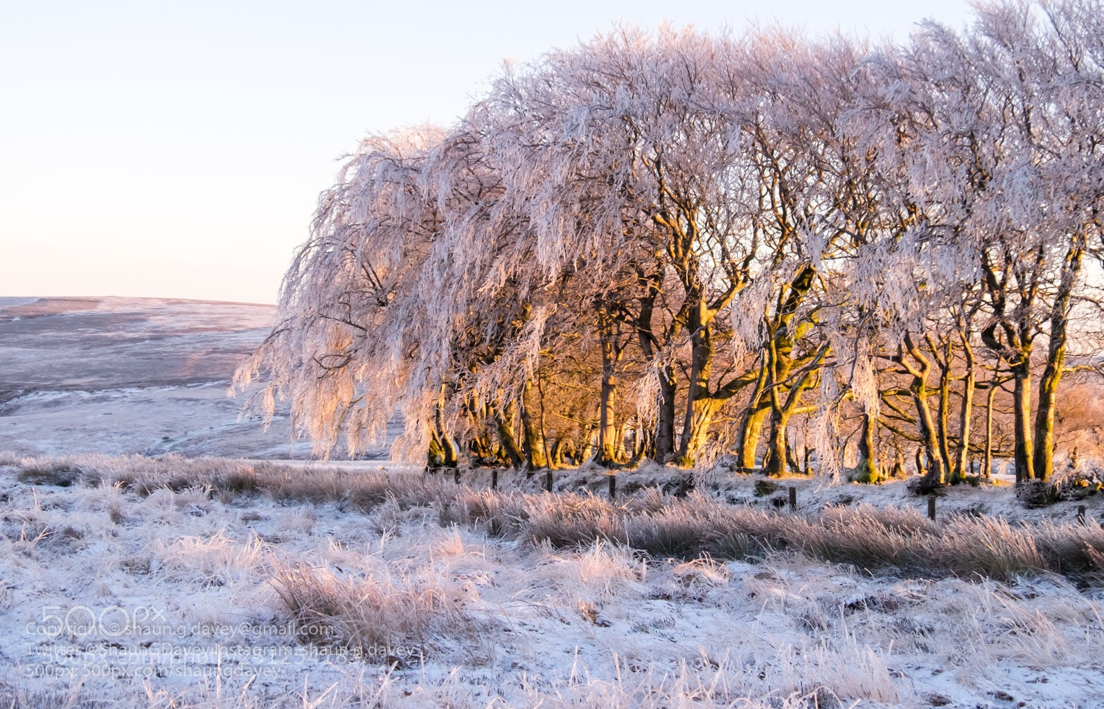 Fujifilm X-T1 sample photo. Ice encrusted trees in photography