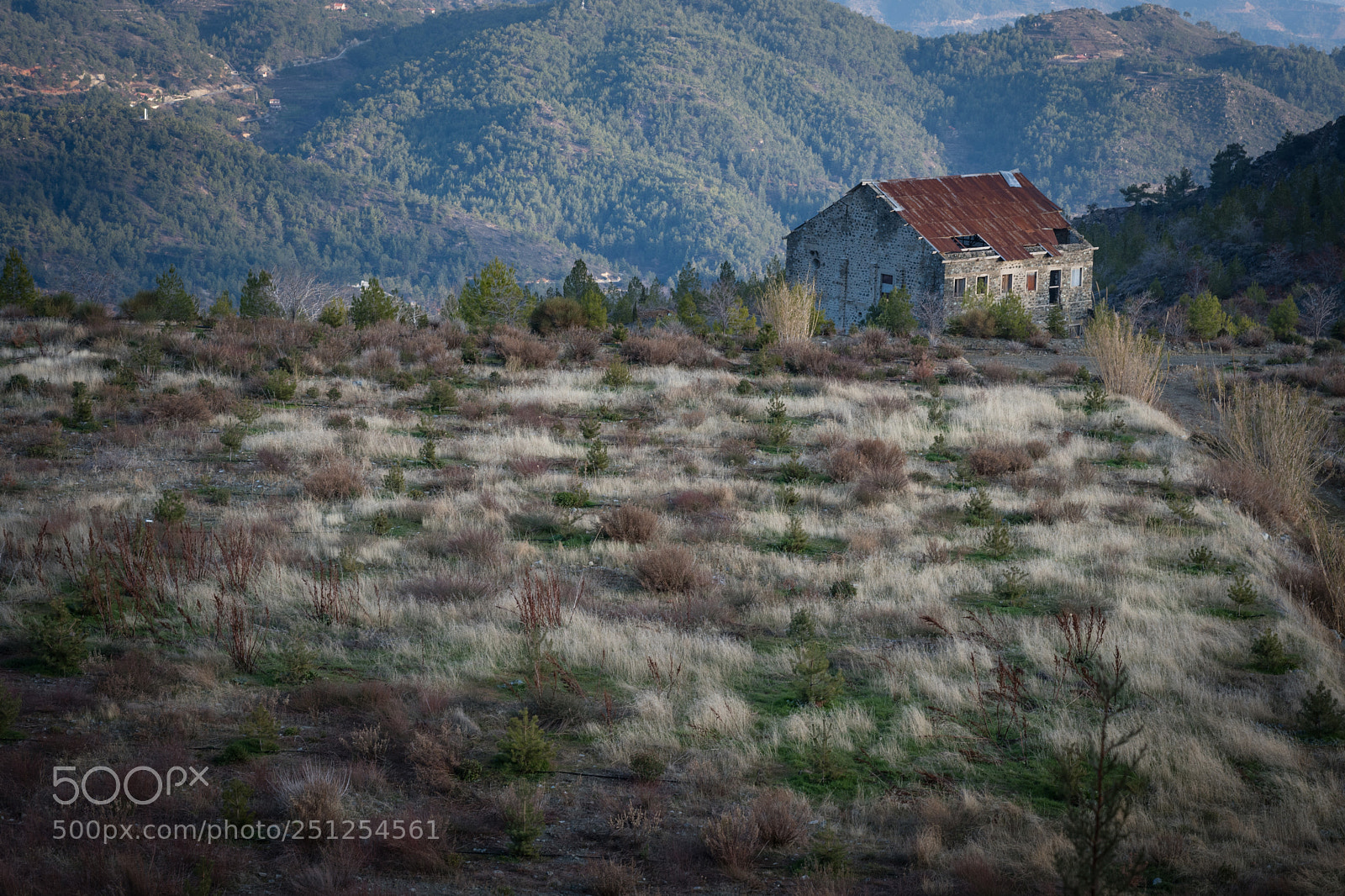 Nikon D500 sample photo. Troodos mountain! photography