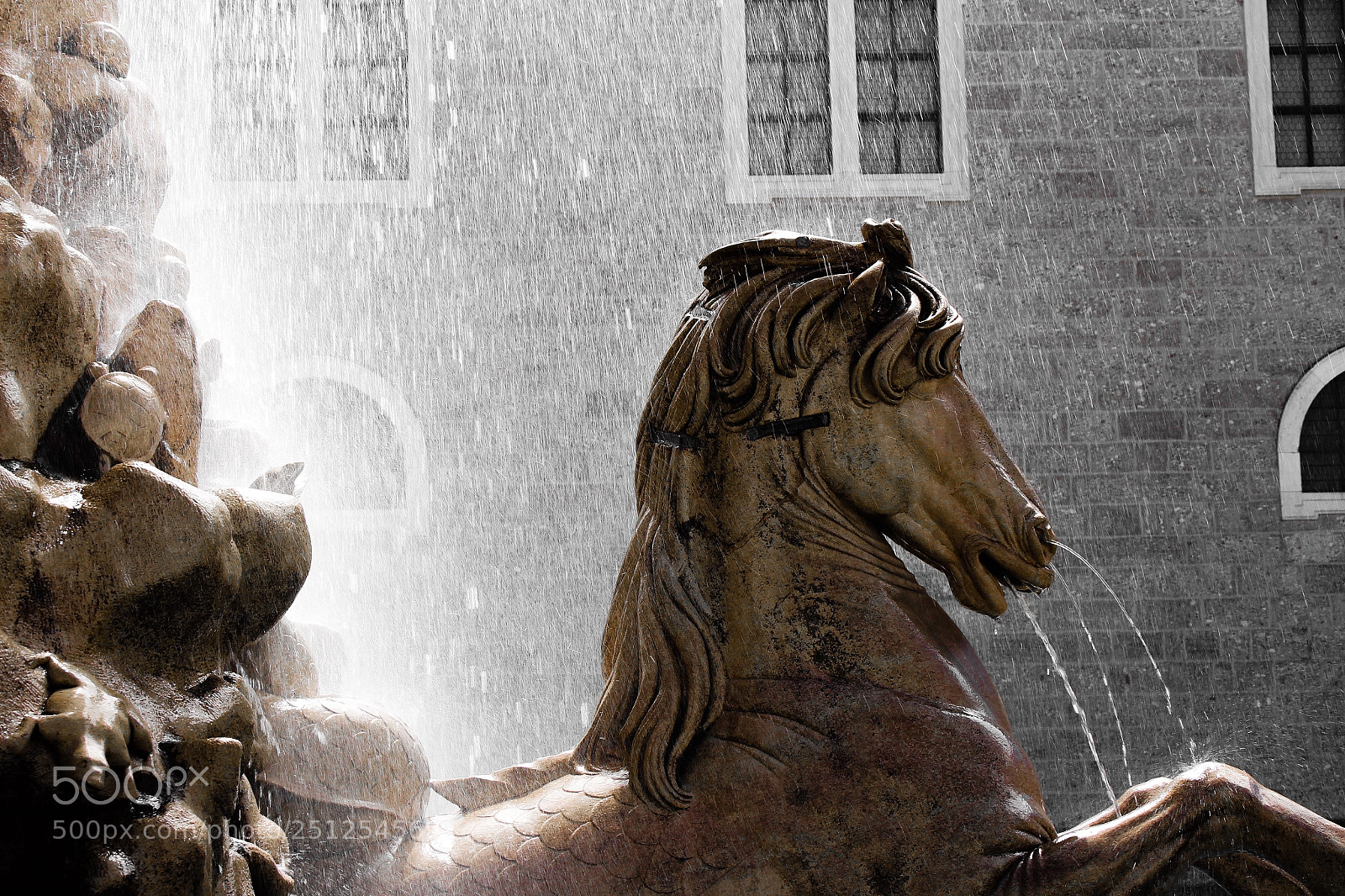 Canon EOS 700D (EOS Rebel T5i / EOS Kiss X7i) sample photo. Horse photography