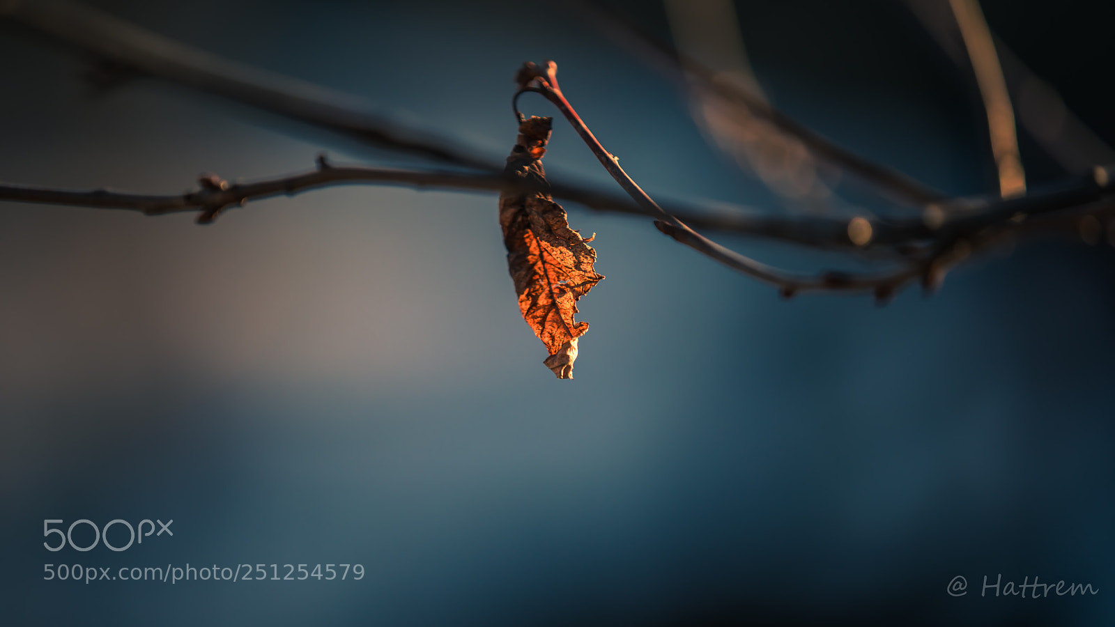 Canon EOS 5D Mark IV sample photo. Spring and autumn photography