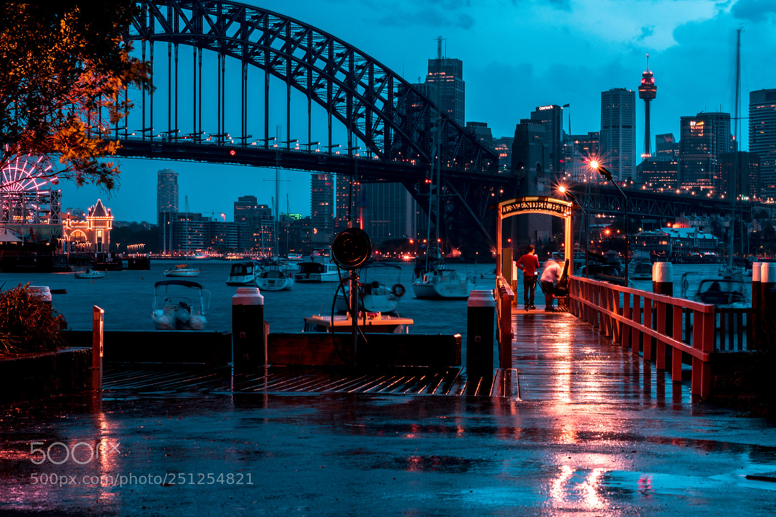 Nikon D5500 sample photo. Lavender bay - moody photography
