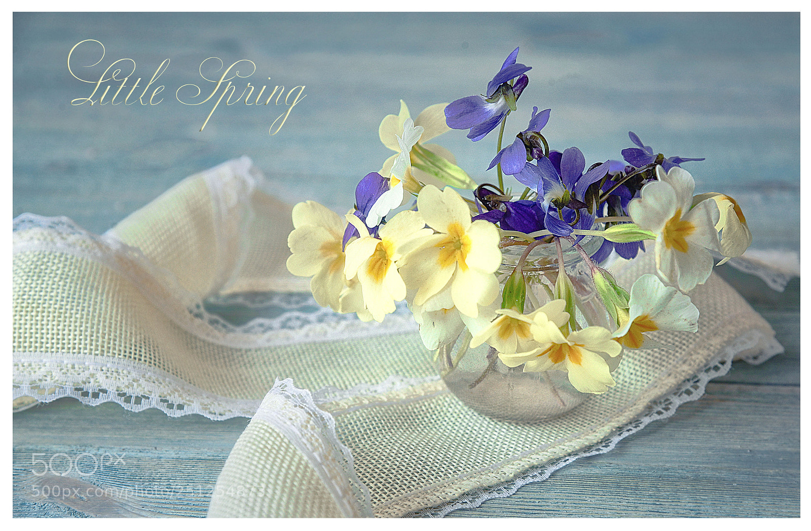 Nikon D610 sample photo. Little spring photography