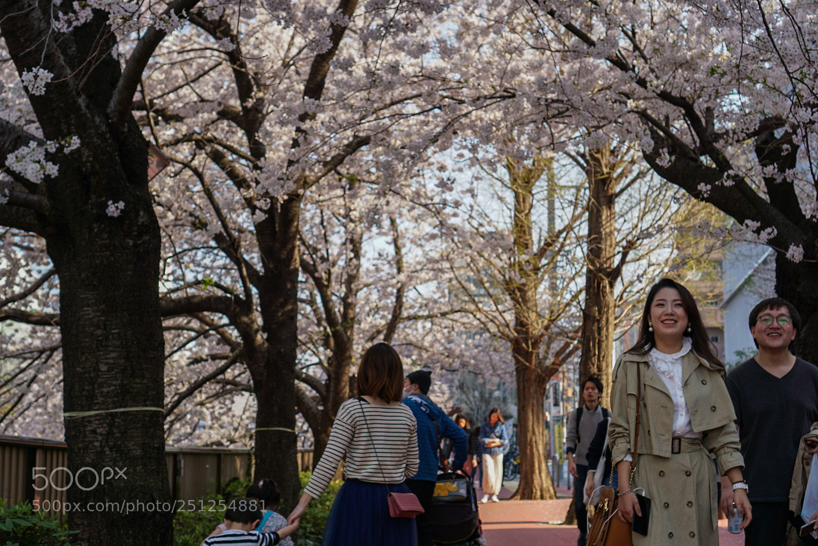 Sony a6000 sample photo. Untitled photography