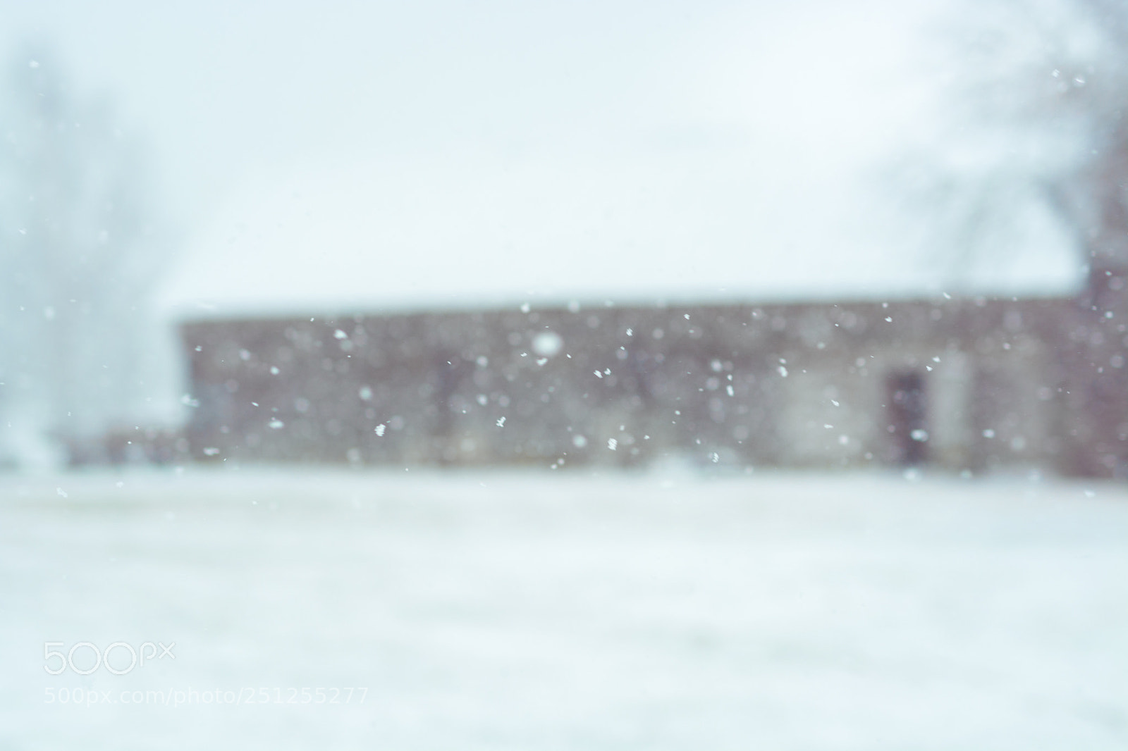 Nikon D5200 sample photo. Sudden snow storm in photography