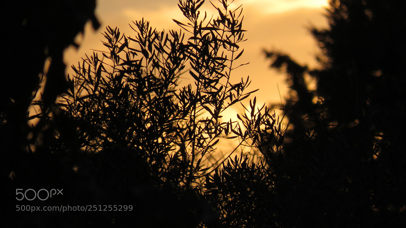 Canon PowerShot SX540 HS sample photo. Sunset italy photography
