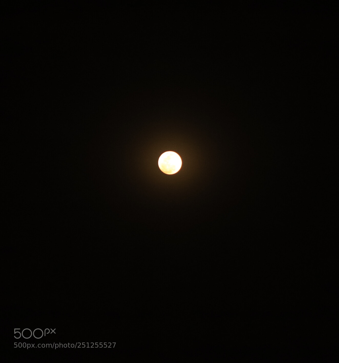 Canon EOS 6D Mark II sample photo. Untitled photography