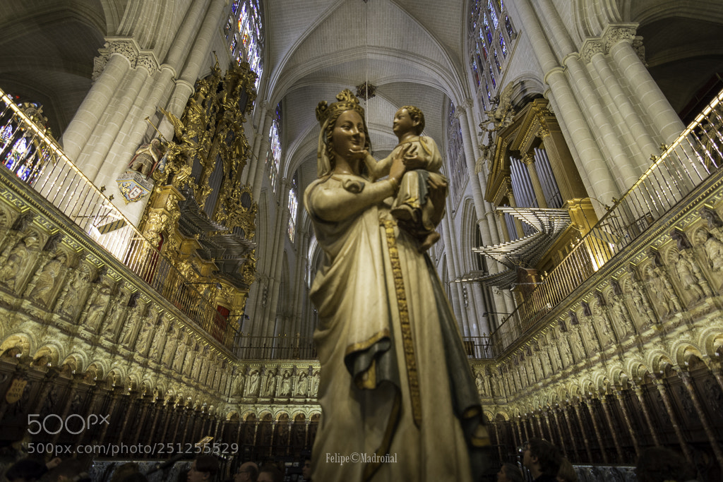 Nikon D5200 sample photo. El coro de la photography