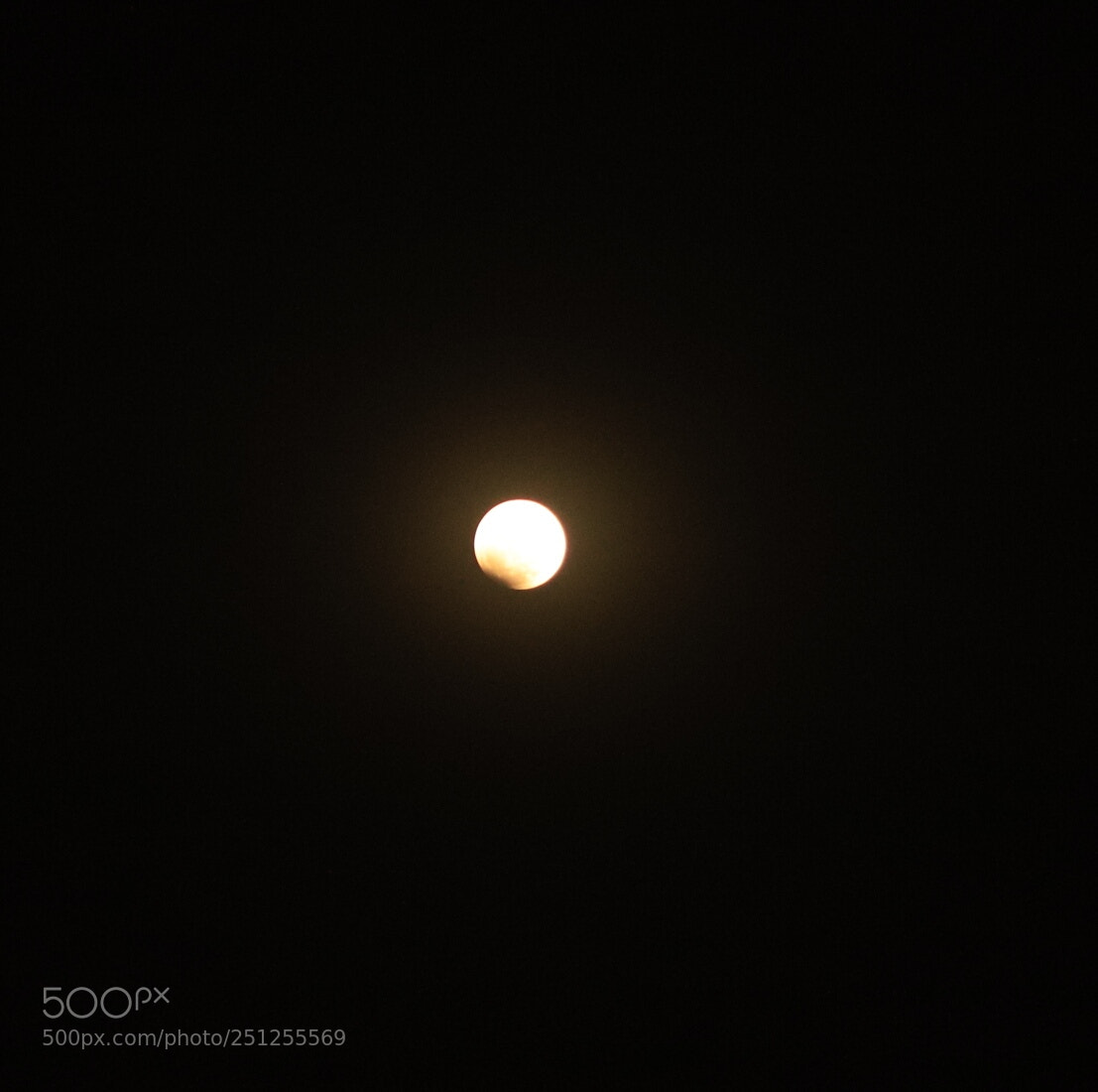 Canon EOS 6D Mark II sample photo. Untitled photography