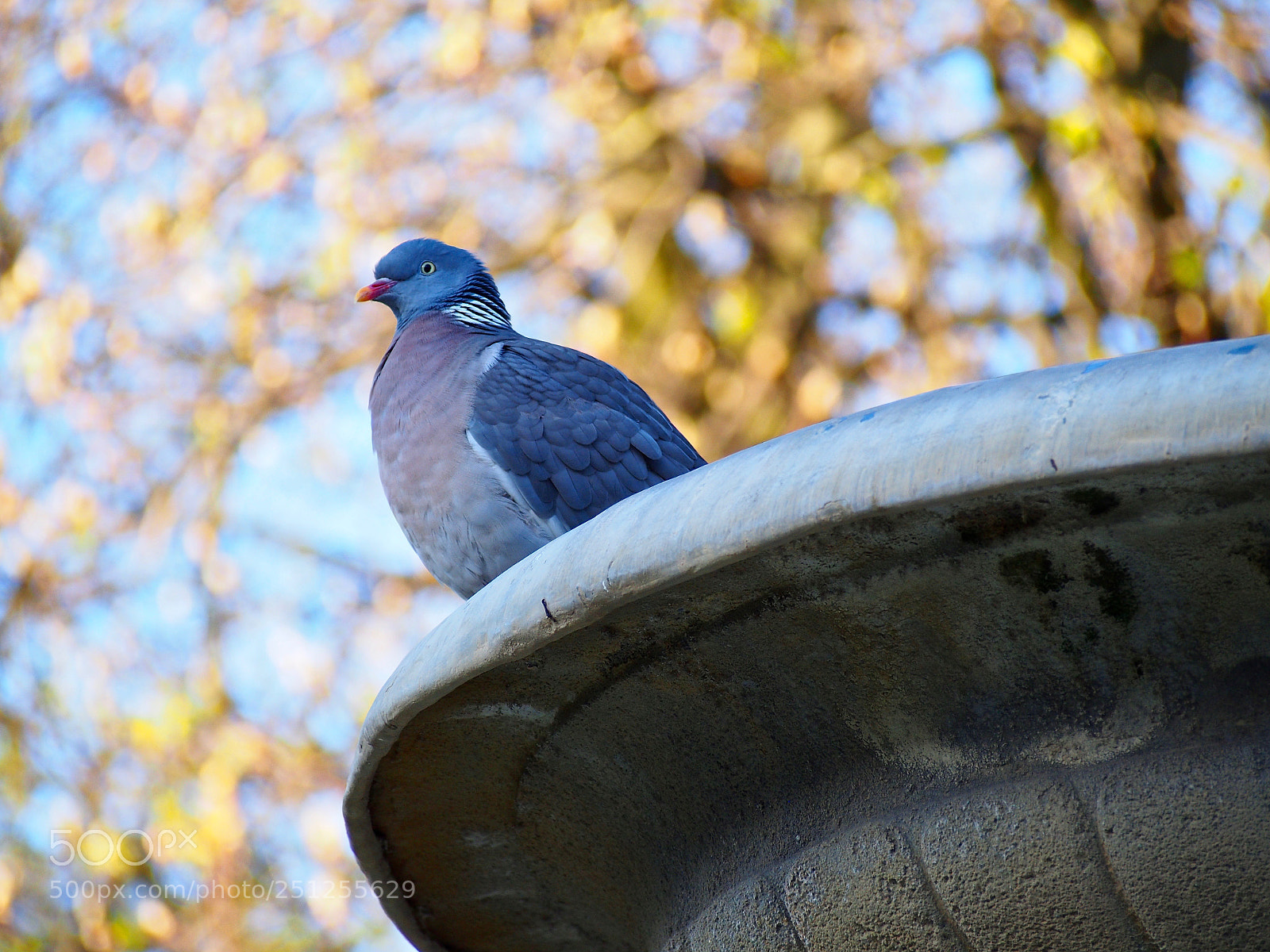 Olympus PEN E-PL6 sample photo. Watching photography