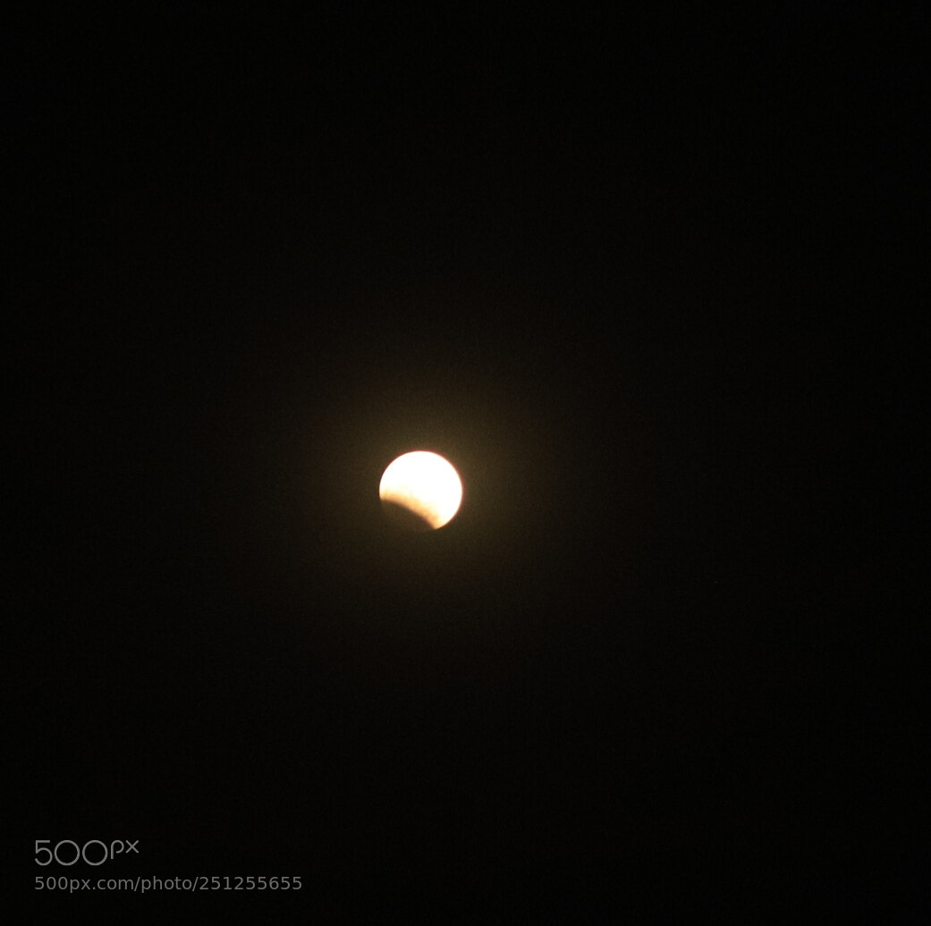 Canon EOS 6D Mark II sample photo. Untitled photography