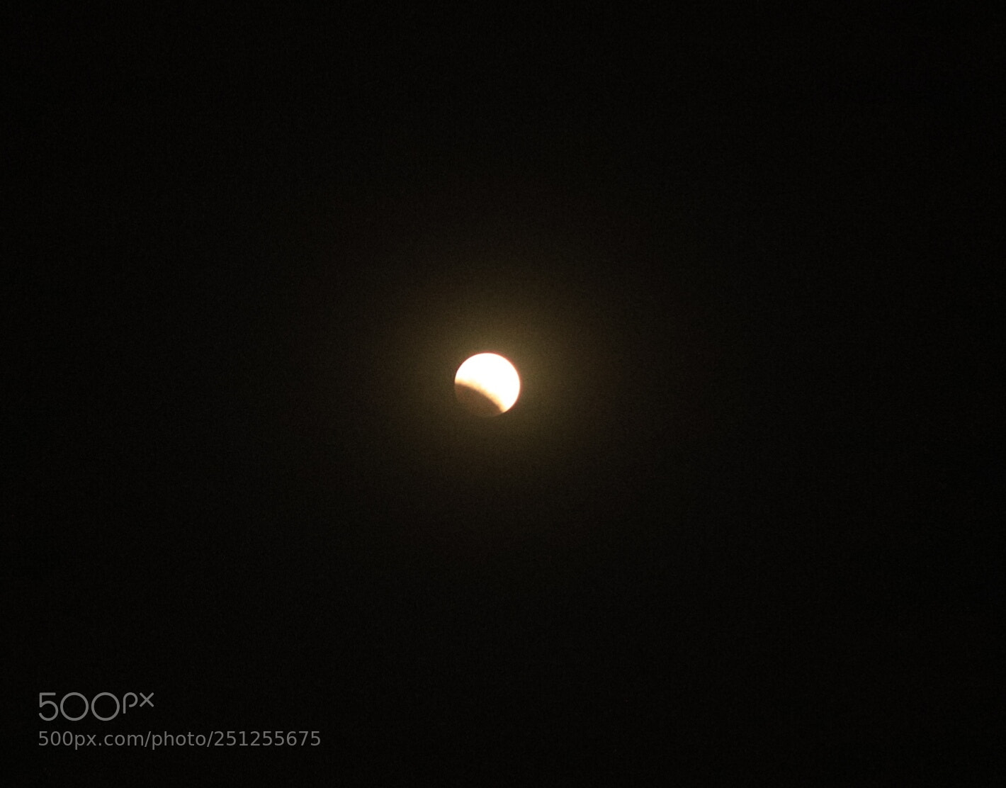 Canon EOS 6D Mark II sample photo. Untitled photography