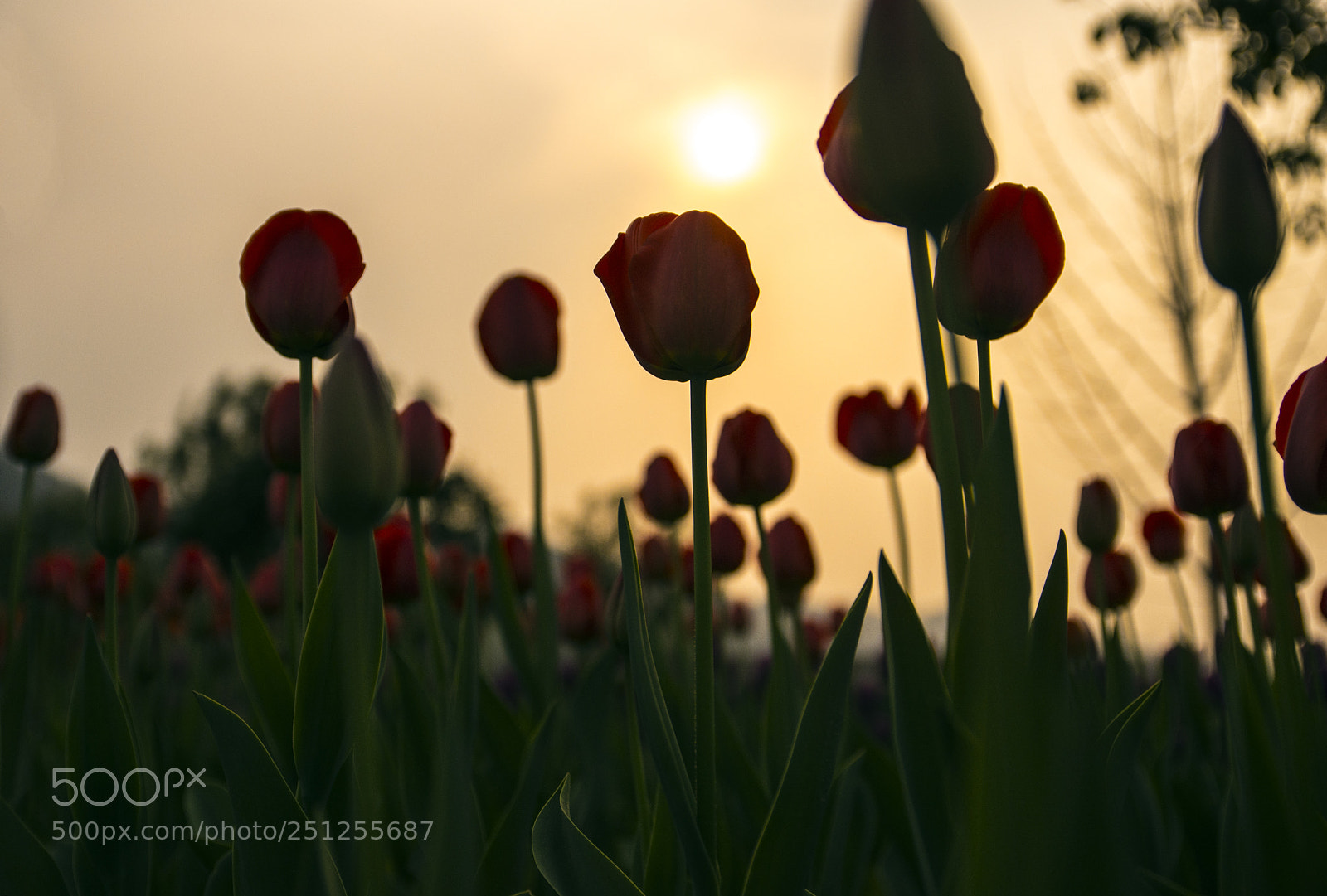 Nikon D7200 sample photo. Untitled photography