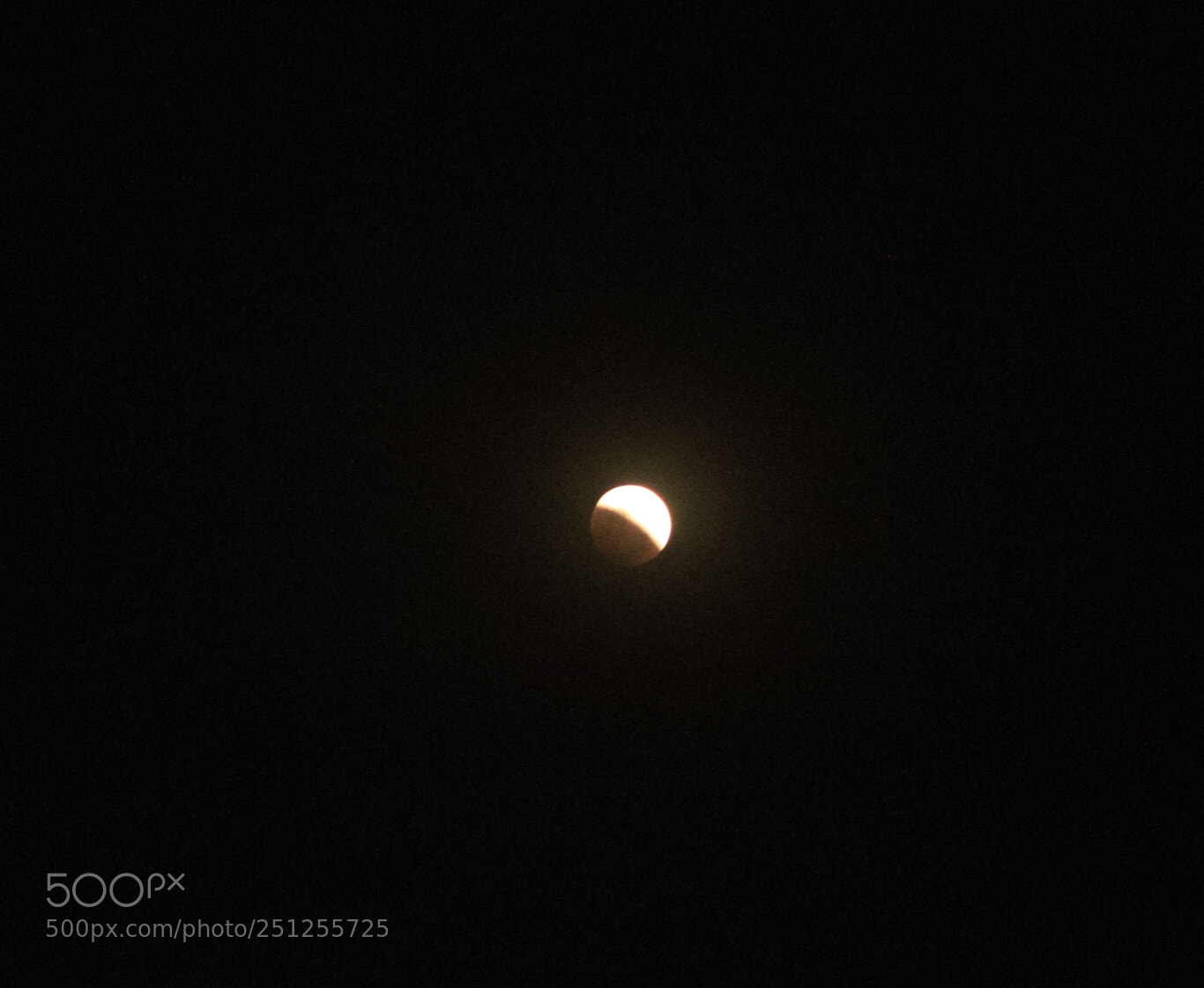 Canon EOS 6D Mark II sample photo. Untitled photography