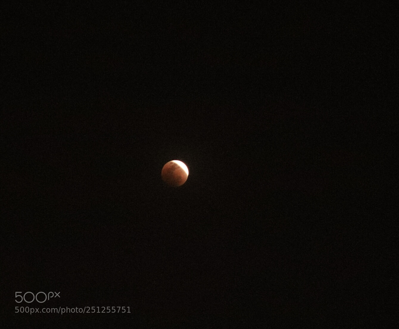 Canon EOS 6D Mark II sample photo. Untitled photography