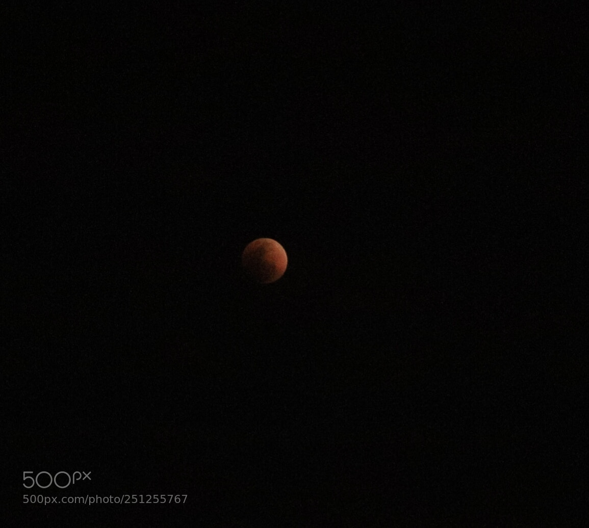 Canon EOS 6D Mark II sample photo. Untitled photography