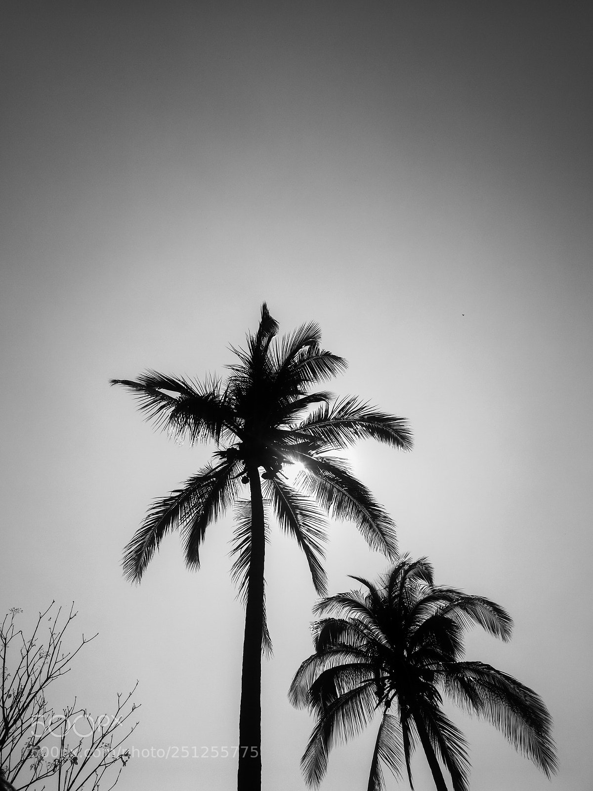 HUAWEI Mate 9 sample photo. Untitled photography