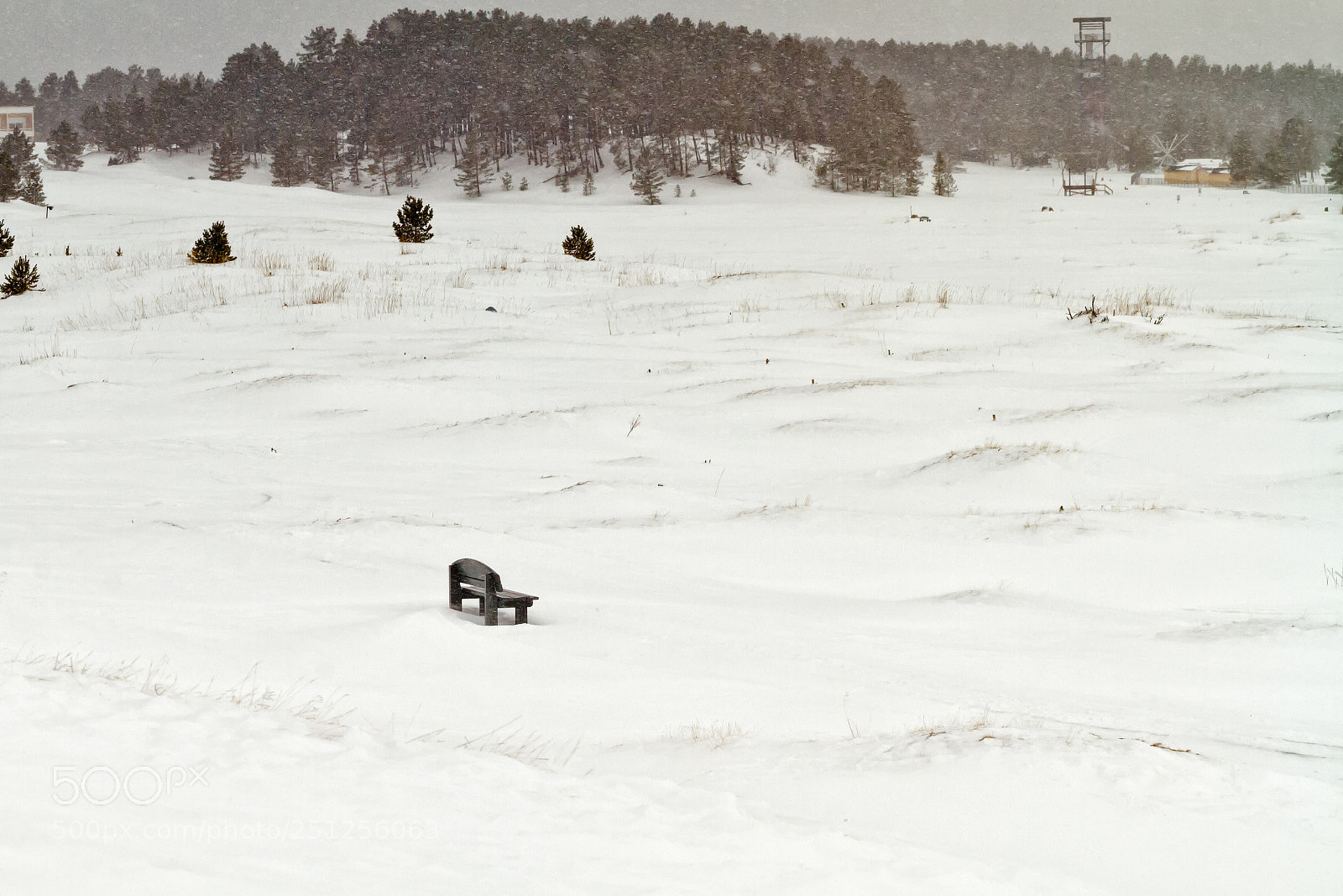 Canon EOS 7D sample photo. Lonely bench by the photography