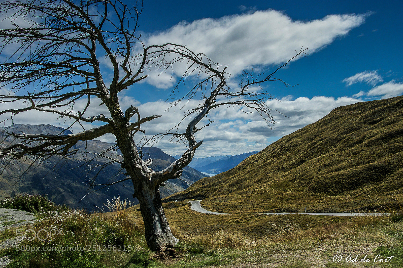 Sony Alpha DSLR-A350 sample photo. New zealand, queenstown photography