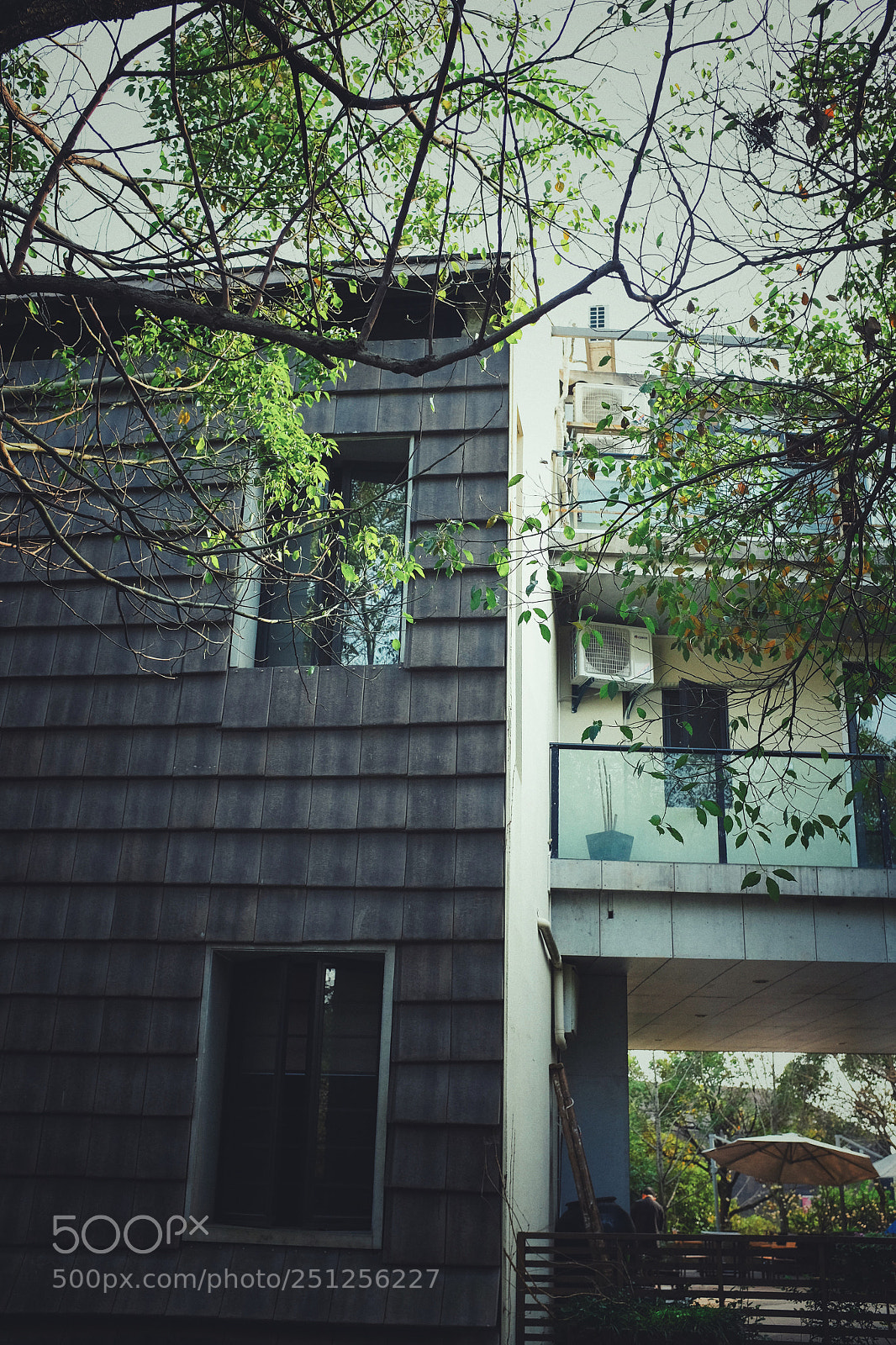Fujifilm X100T sample photo. Untitled photography