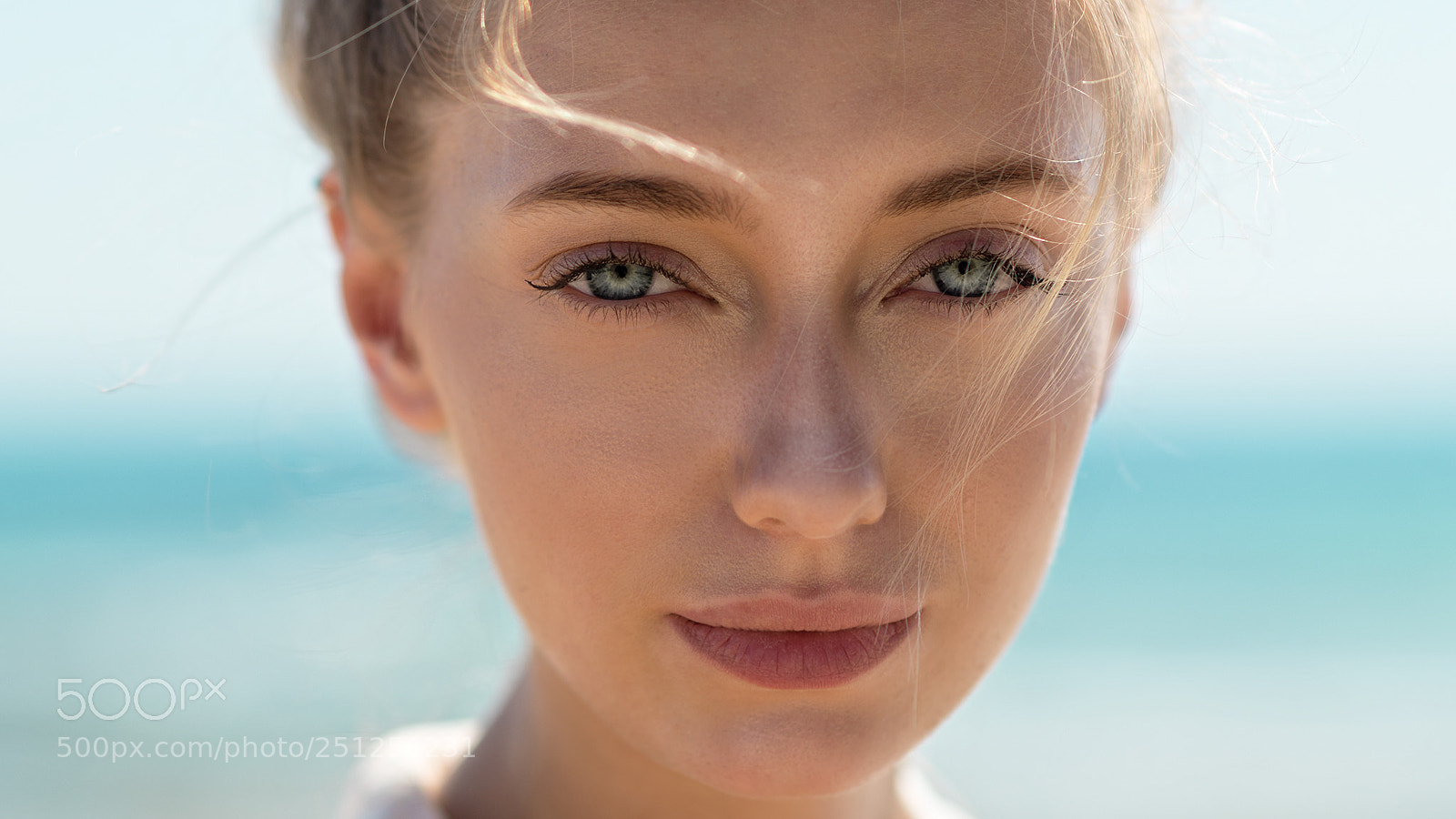 Nikon D810 sample photo. Closeup #1 photography