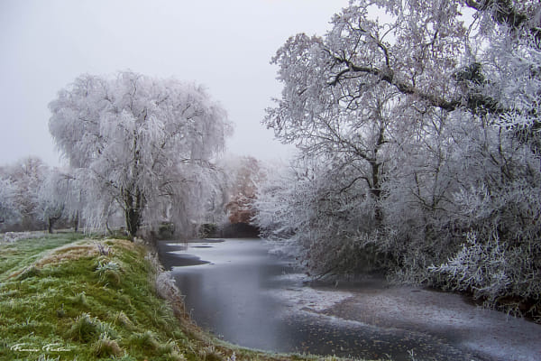 Kodak DX6440 ZOOM DIGITAL CAMERA sample photo - WRlpTYrEky