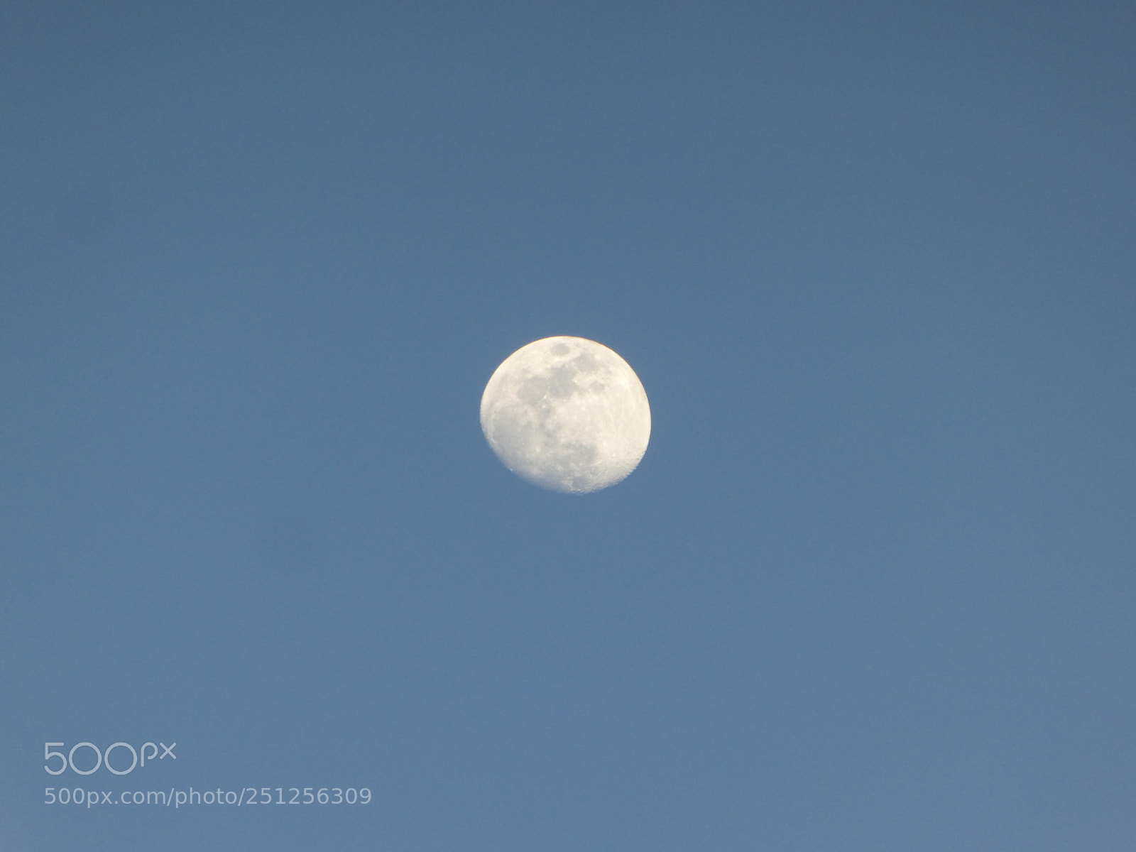 Panasonic DMC-TZ81 sample photo. Lu photography