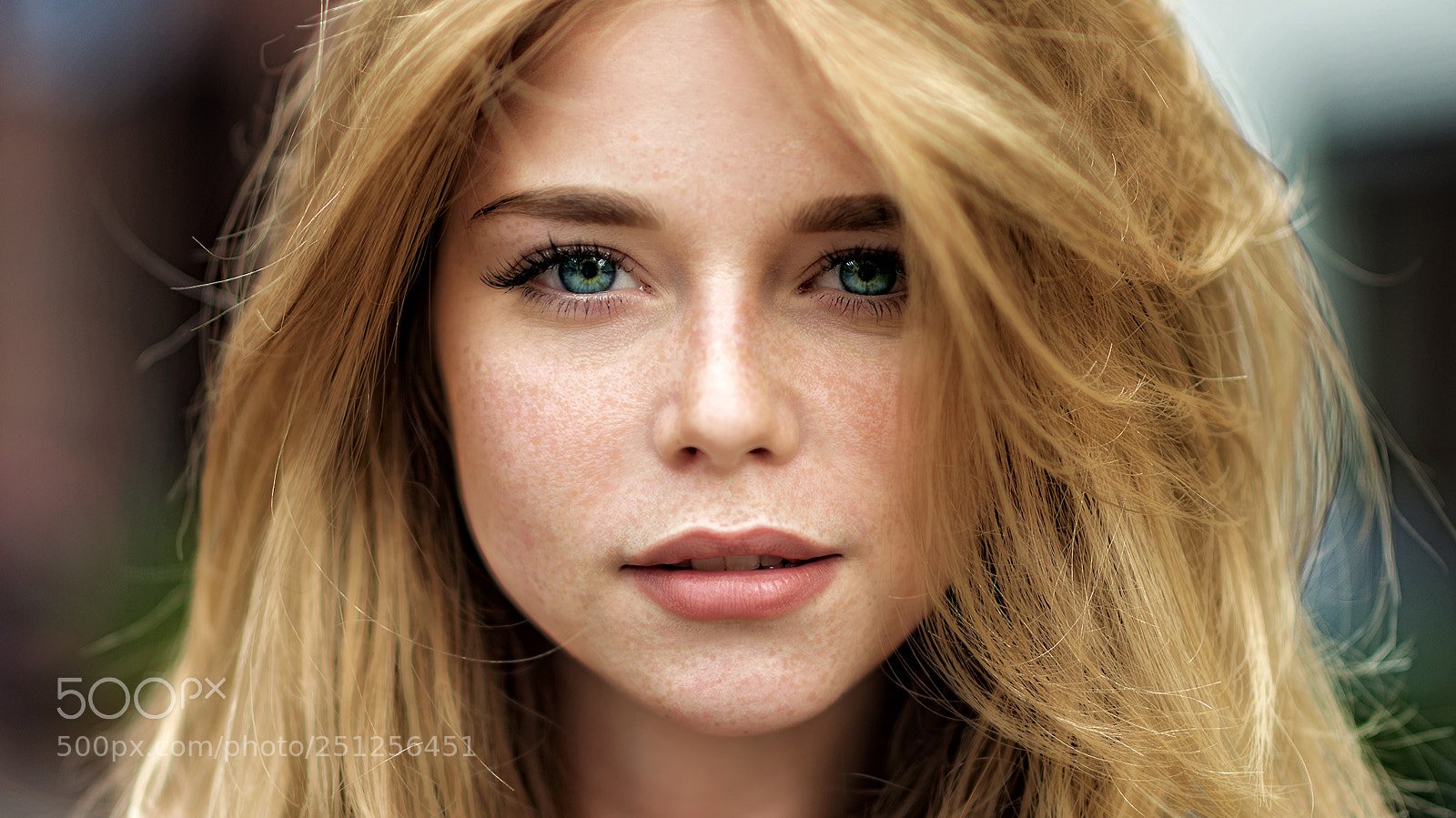 Nikon D810 sample photo. Closeup #2 photography