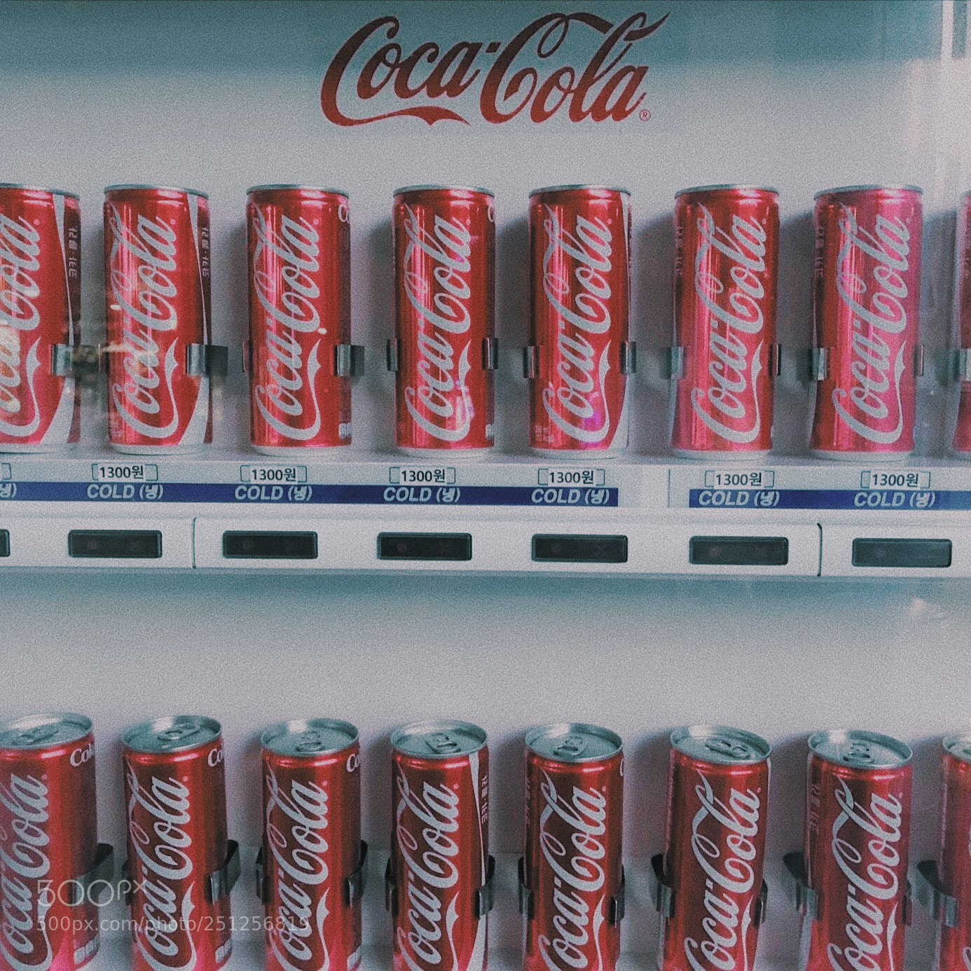 Apple iPhone 8 sample photo. Untitled photography