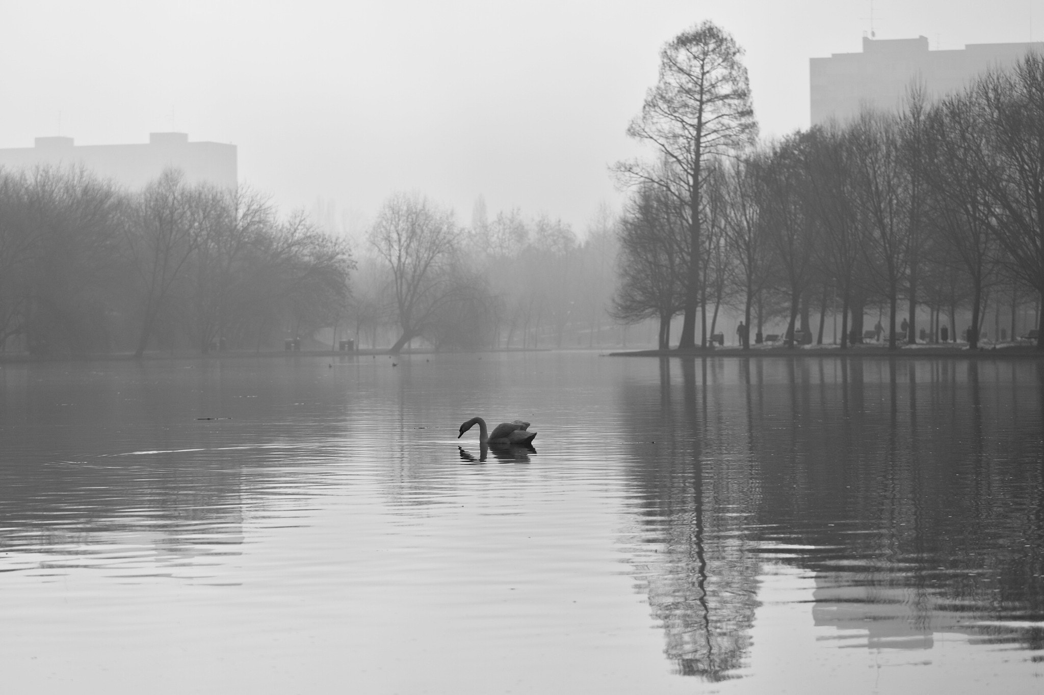 Canon EOS 6D + Canon EF 70-200mm F4L IS USM sample photo. Not so urban morning photography