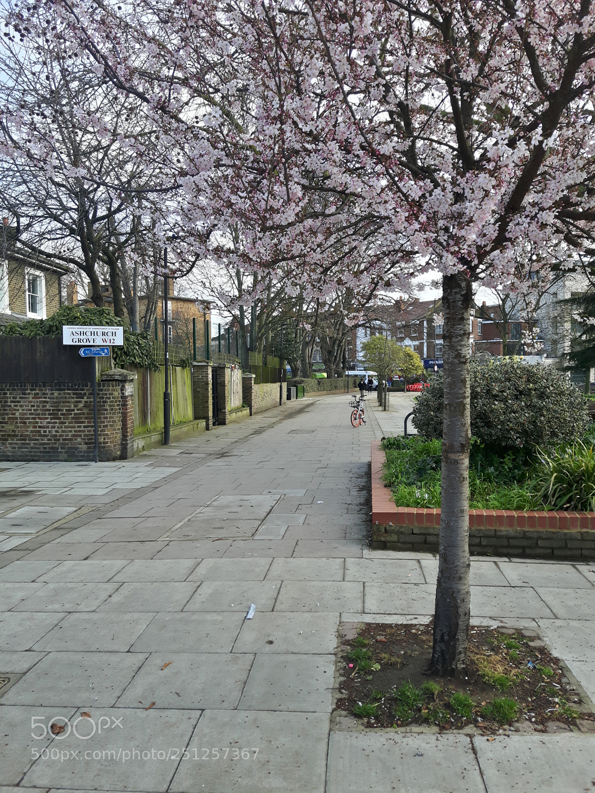 Samsung Galaxy S5 Neo sample photo. Spring at white city photography