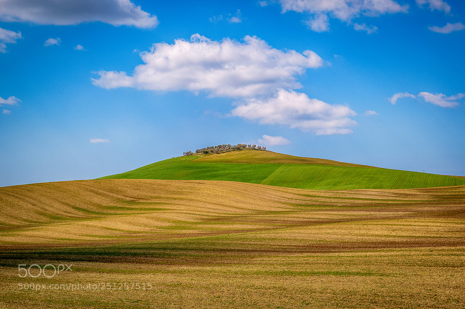 Nikon D5500 sample photo. Val d'orcia photography
