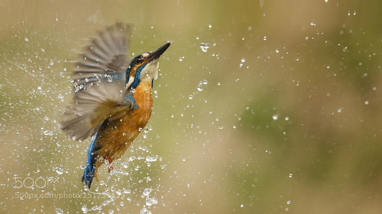 Nikon D7000 sample photo. Emergence photography
