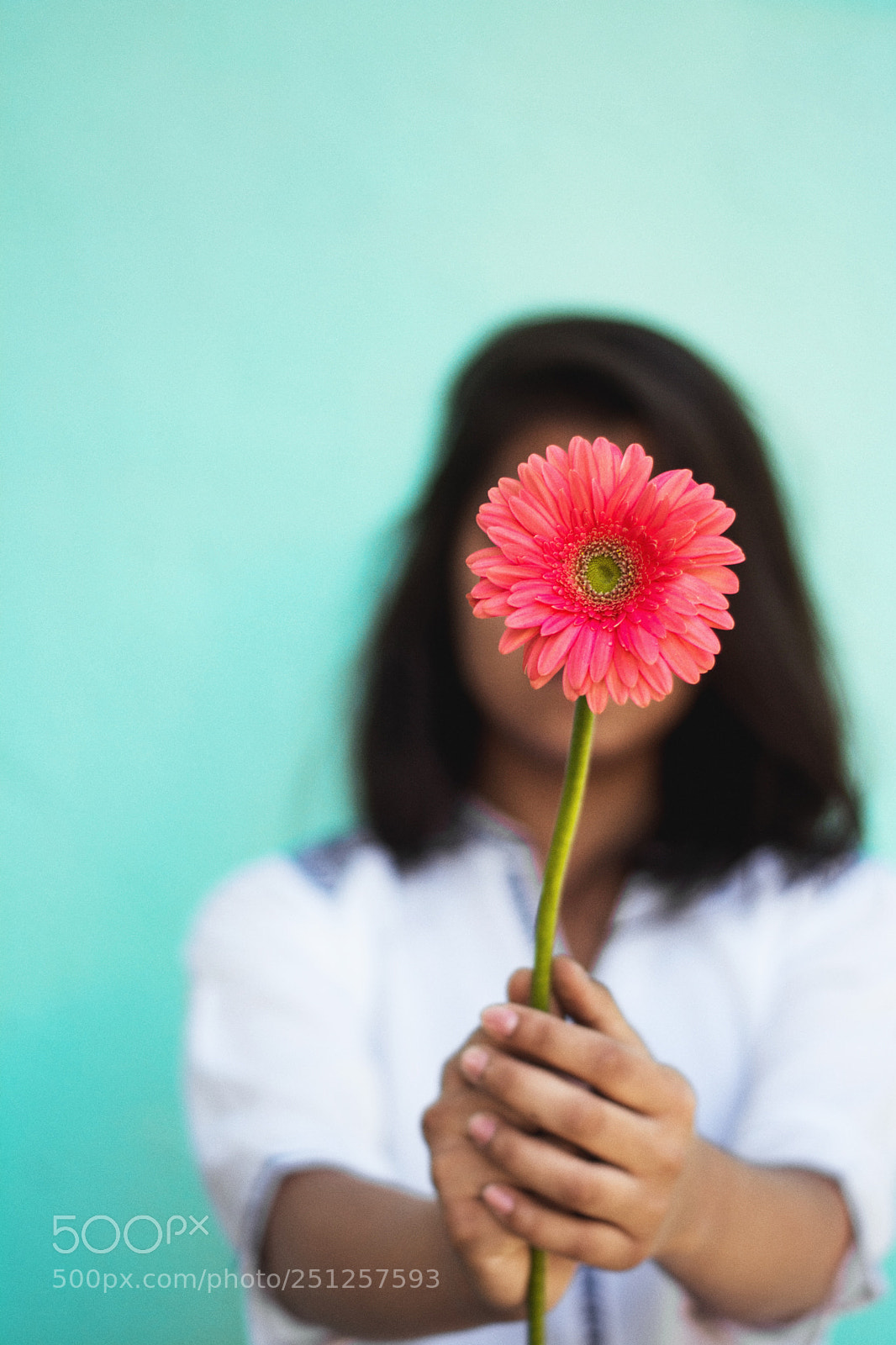 Nikon D5200 sample photo. I am the blossom photography