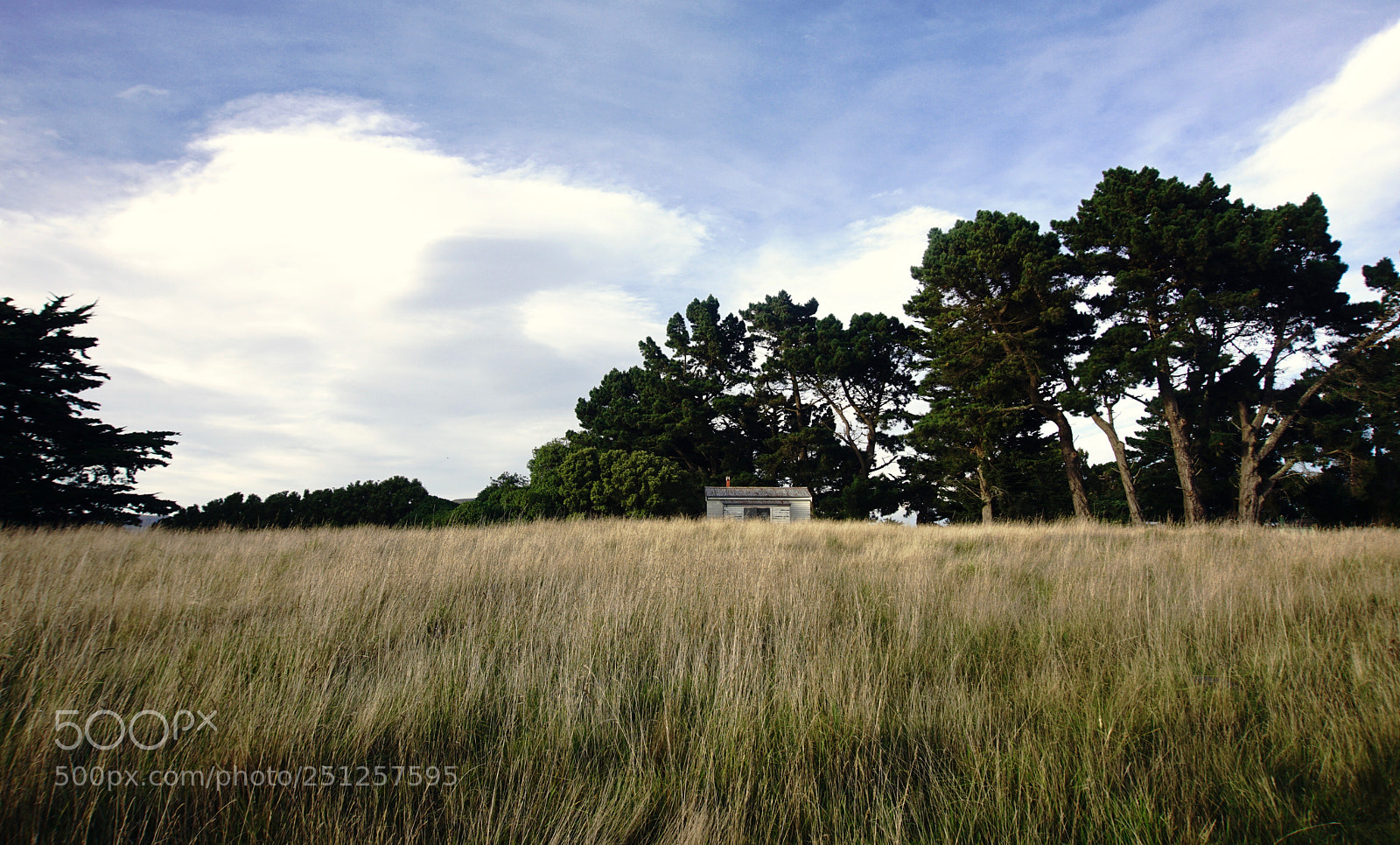 Sony a6000 sample photo. Godley head photography