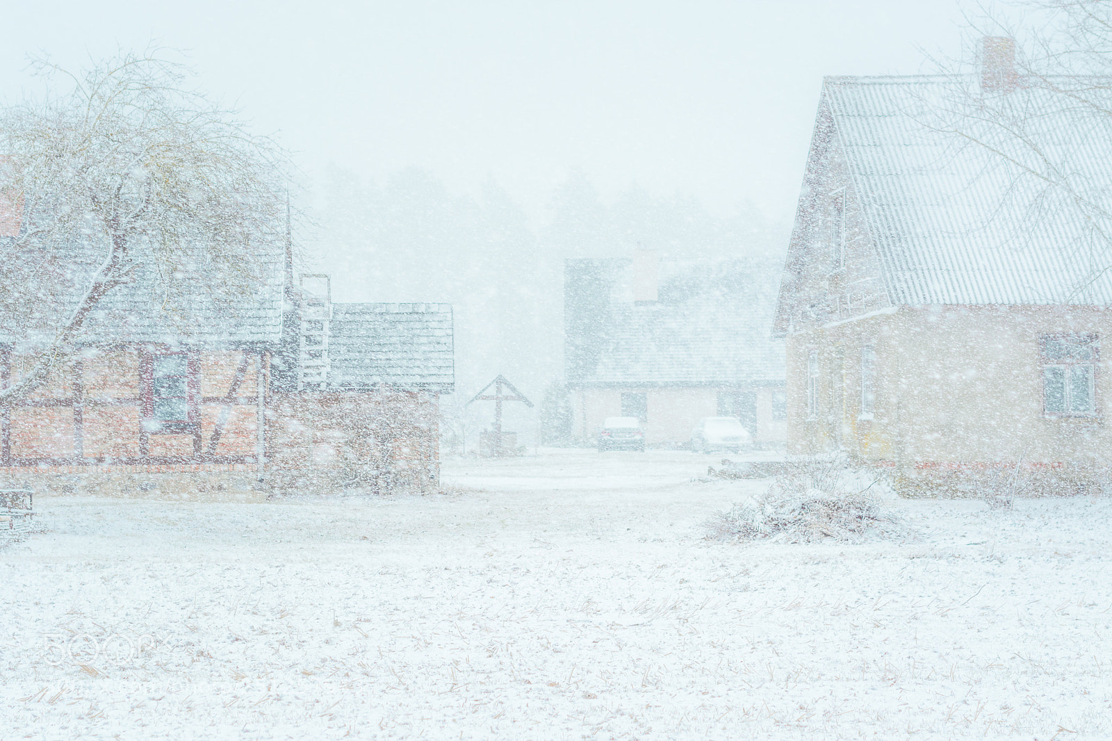Nikon D5200 sample photo. Sudden snow storm in photography