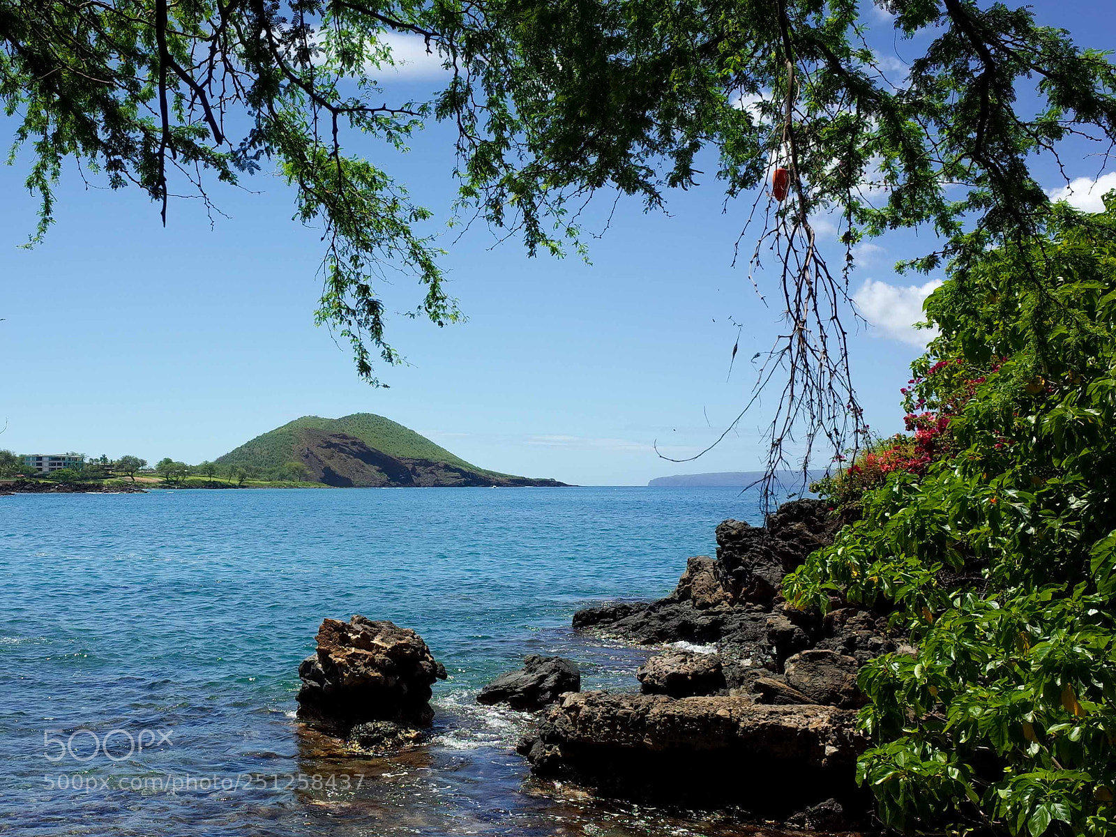 Ricoh GR sample photo. Island vista photography