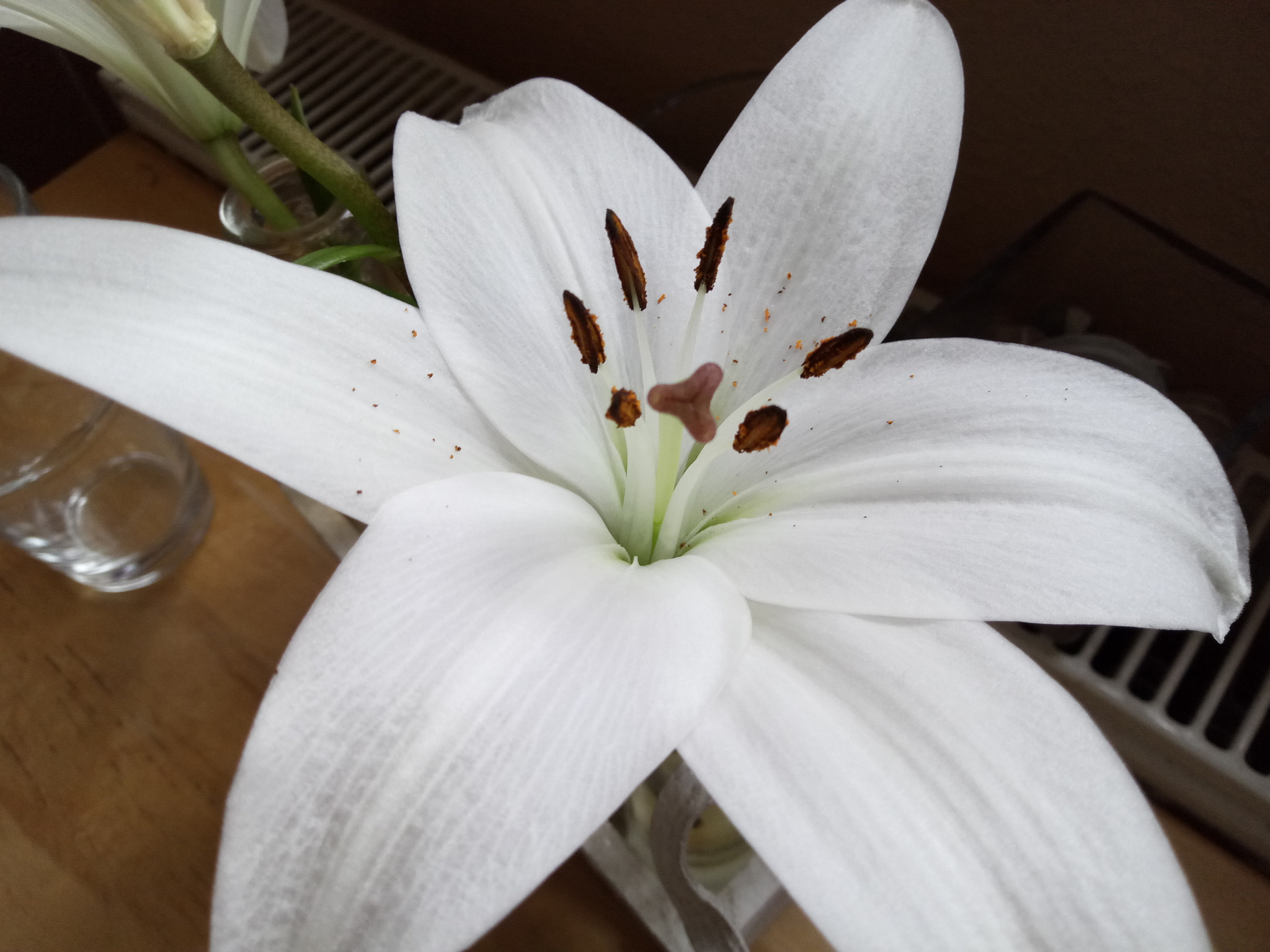 HUAWEI honor 6C Pro sample photo