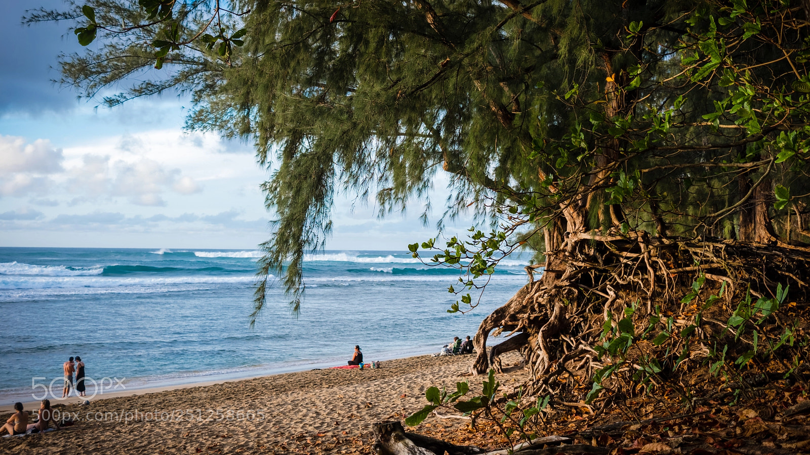 Fujifilm X-T2 sample photo. Golden light at kalalau photography