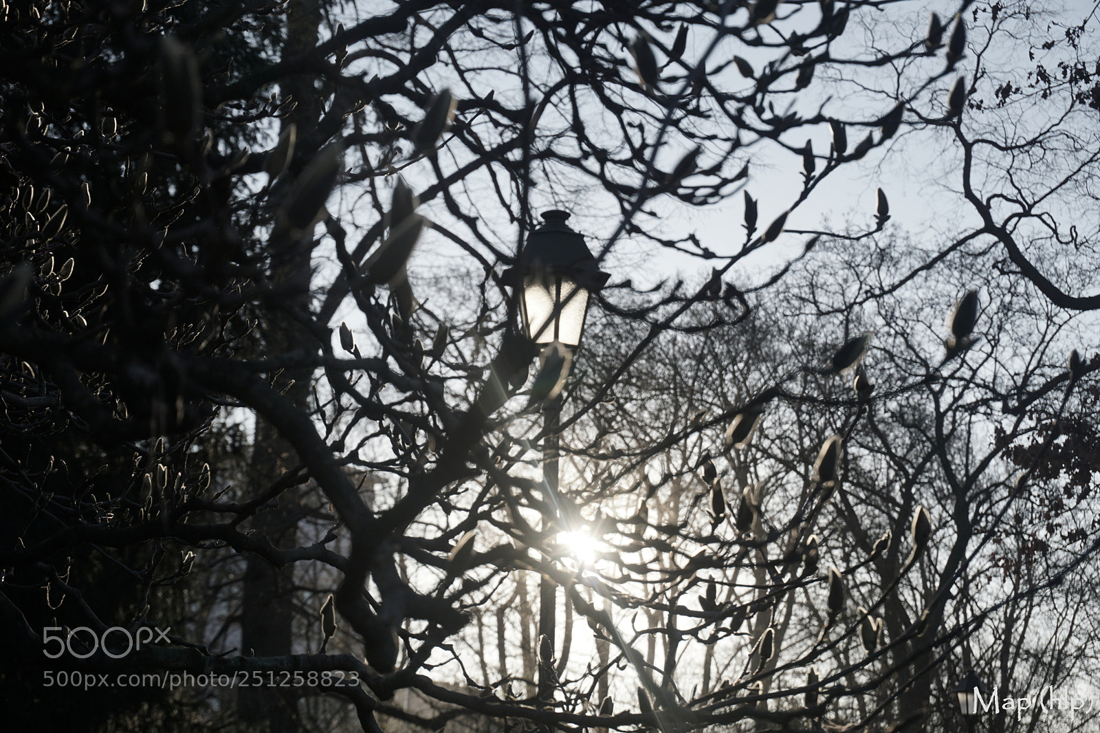 Sony a6000 sample photo. Awaking of new day photography