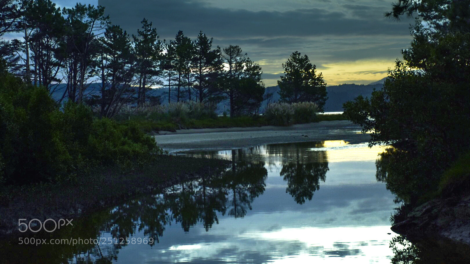 Nikon D5300 sample photo. The view photography