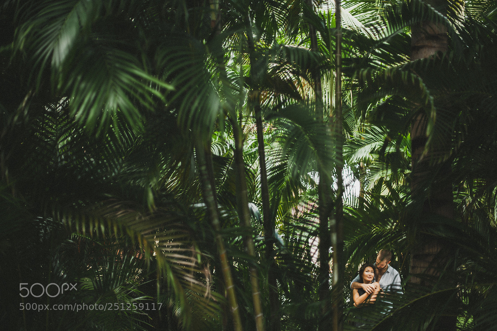 Canon EOS-1Ds Mark II sample photo. 29.jpg photography