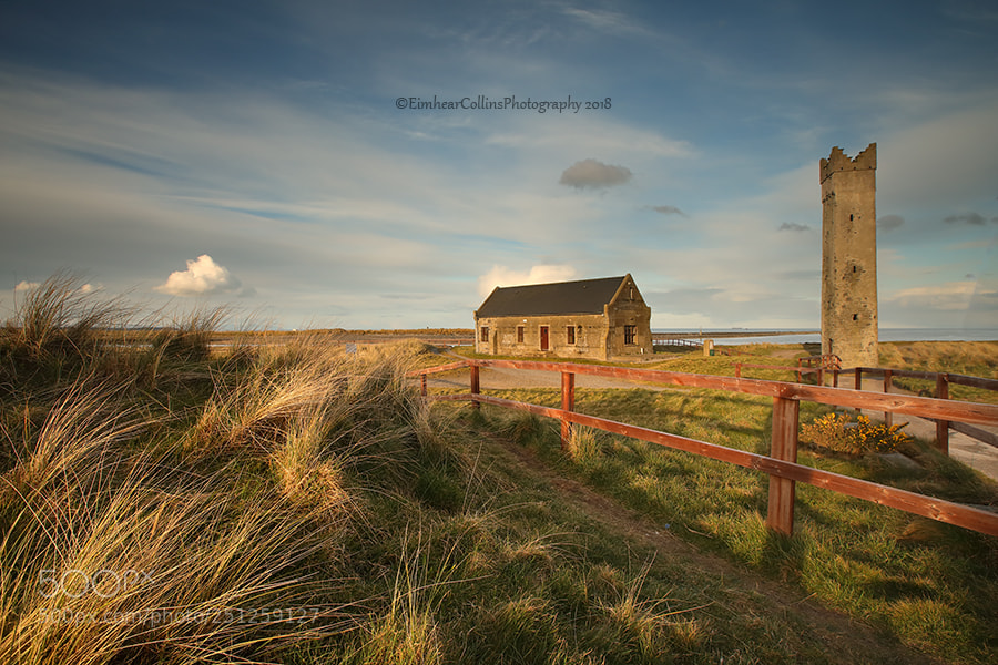 Canon EOS 5D Mark IV sample photo. Evening light  at mornington photography